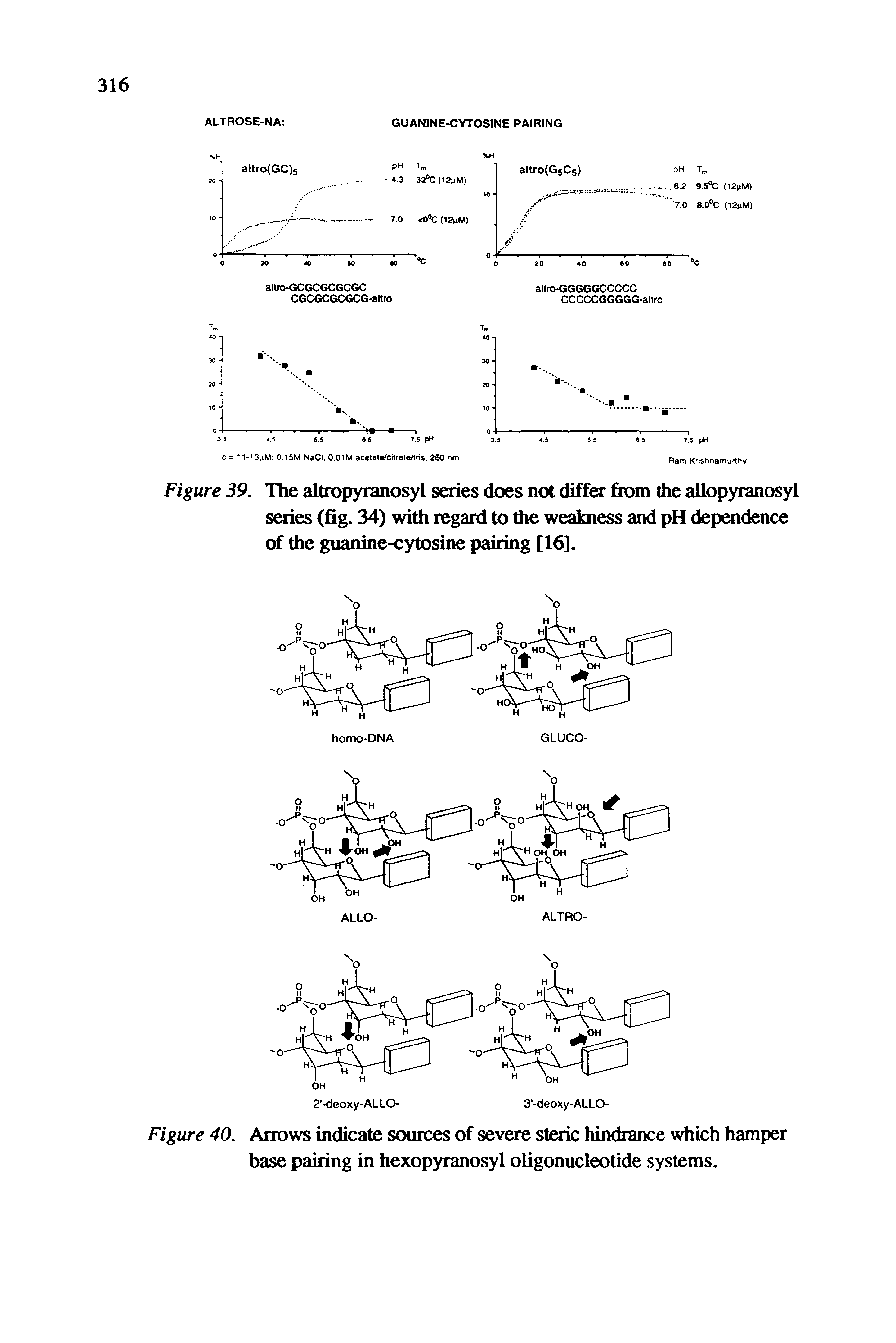 Figure 39. The altropyianosyl series does not differ from the allopyianosyl smes (fig. 34) with regard to the weakness and pH dependence of the guanine-cytosine pairing [16].