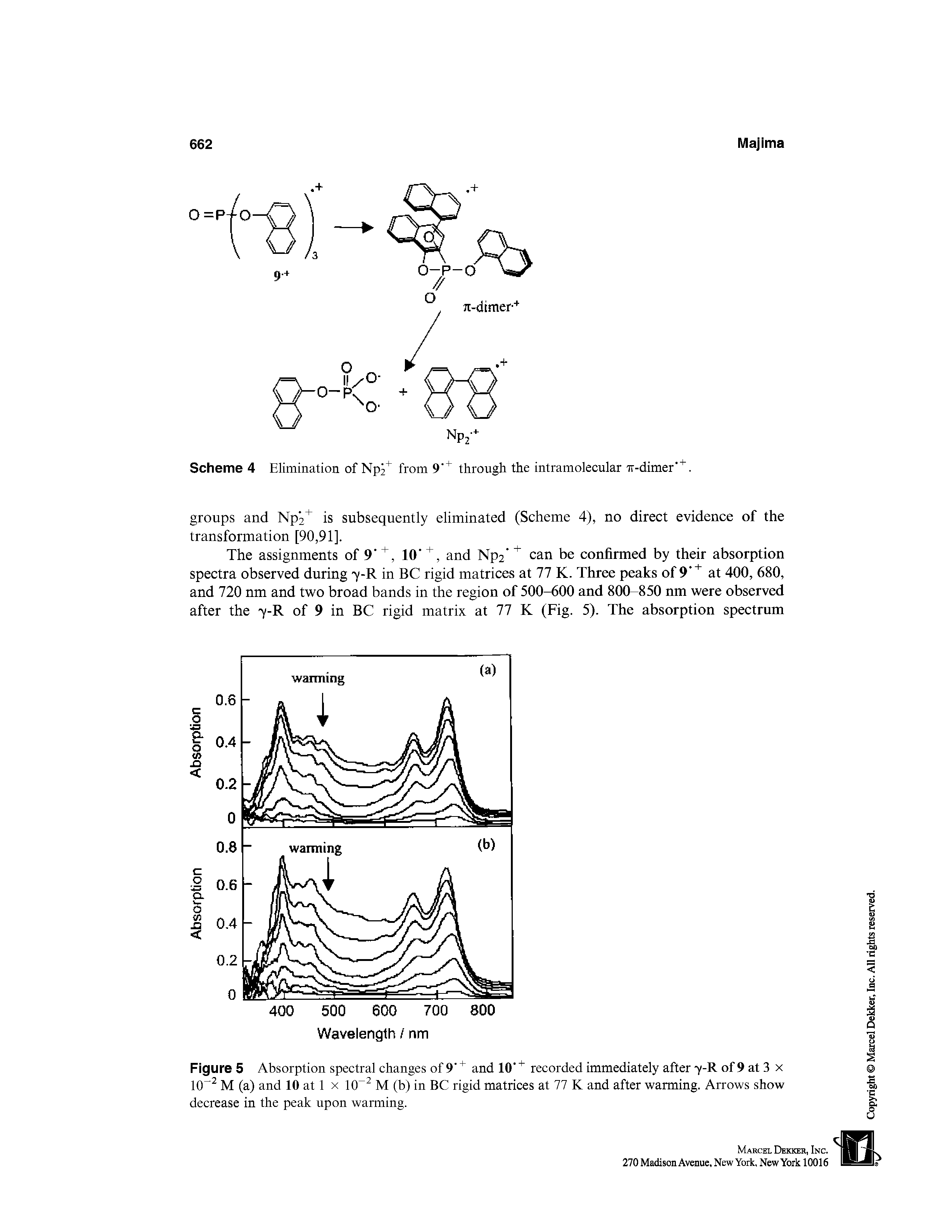 Figure 5 Absorption spectral changes of 9 and 10 recorded immediately after 7-R of 9 at 3 x 10 M (a) and 10 at 1 x 10 M (b) in BC rigid matrices at 77 K and after warming. Arrows show decrease in the peak upon warming.