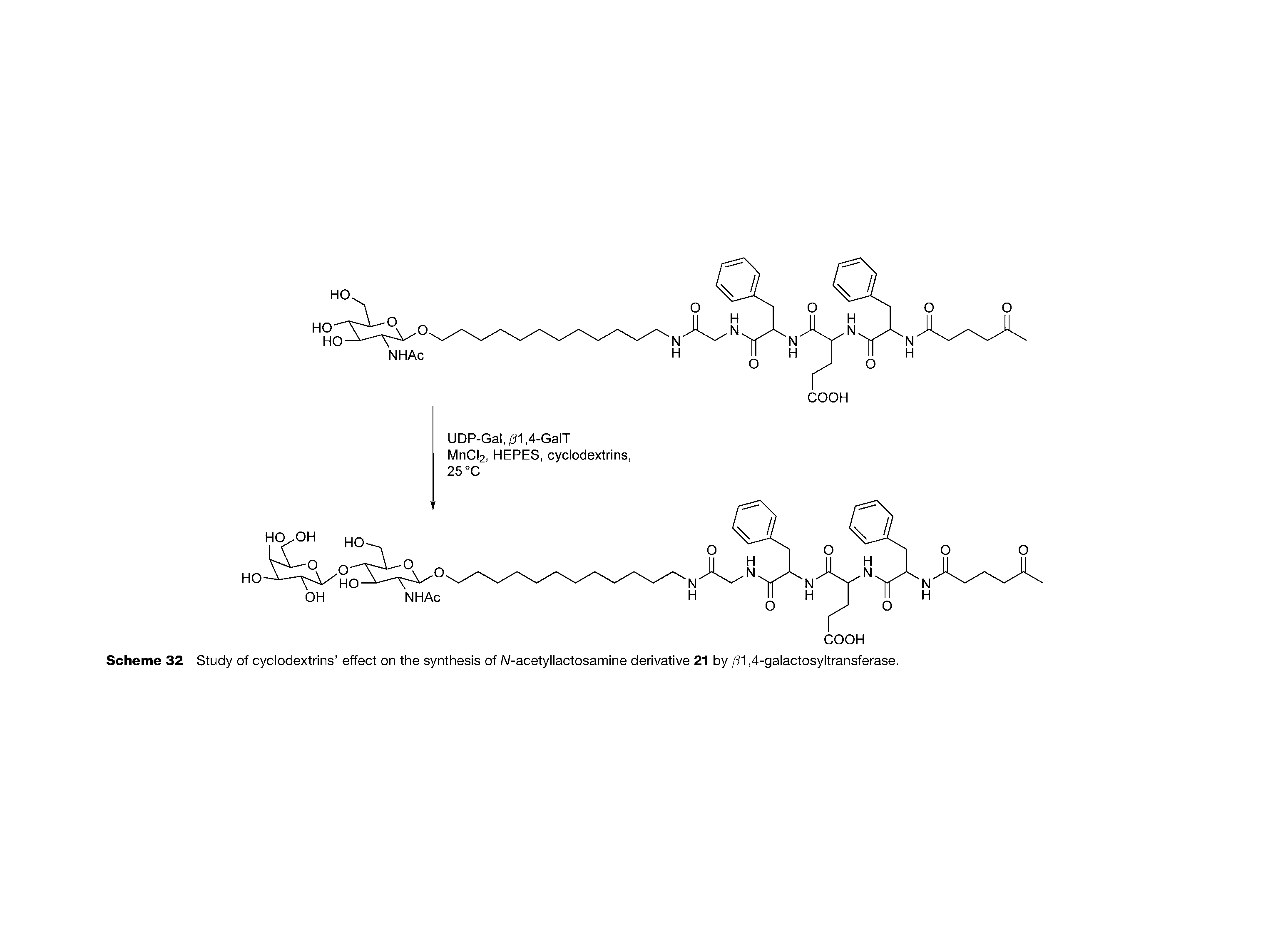 Scheme 32 Study of cyclodextrins effect on the synthesis of W-acetyllactosamine derivative 21 by /31,4-galactosyltransferase.