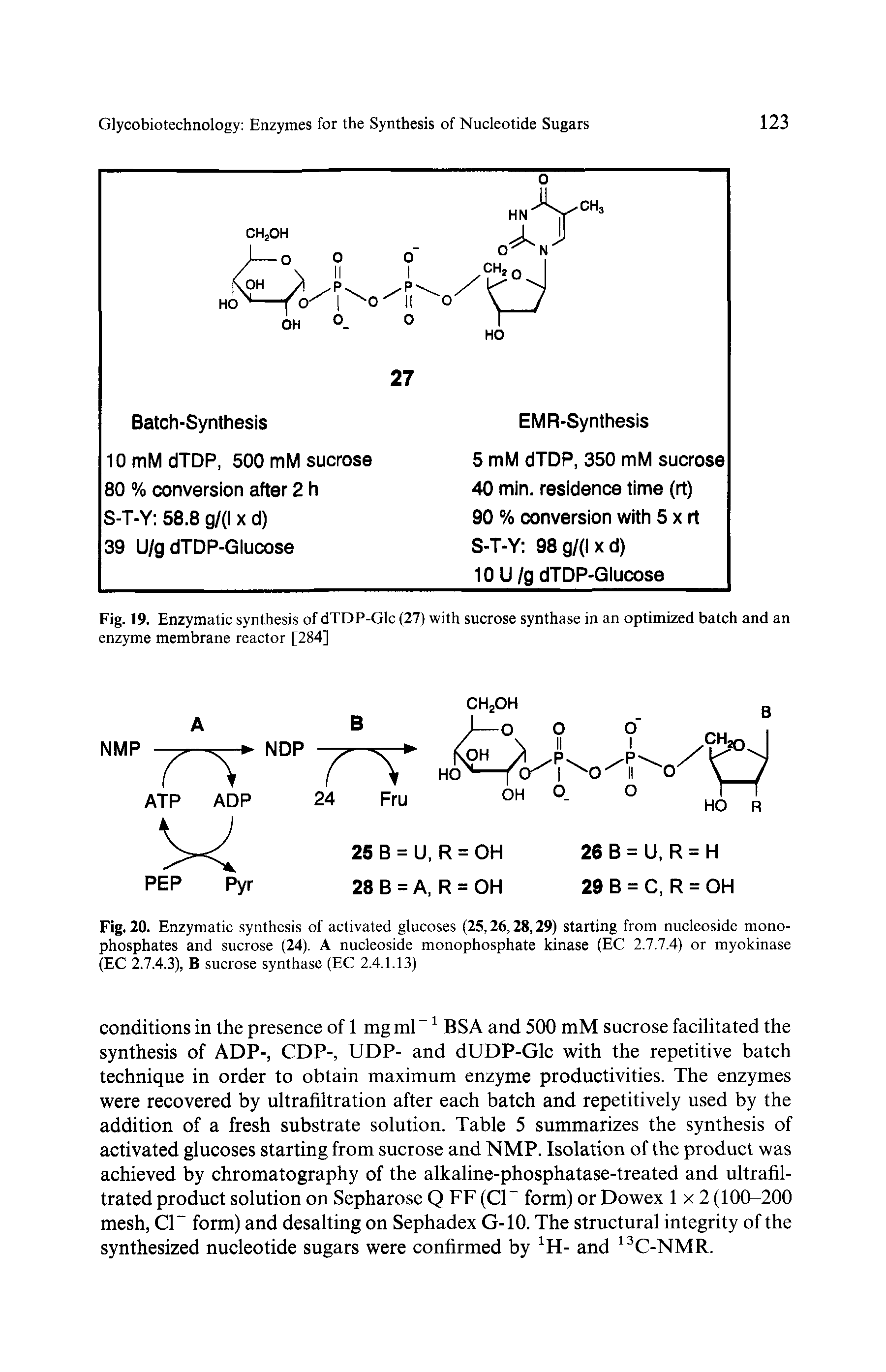 Fig. 20. Enzymatic synthesis of activated glucoses (25,26,28,29) starting from nucleoside monophosphates and sucrose (24). A nucleoside monophosphate kinase (EC 2.7.7.4) or myokinase (EC 2.7.4.3), B sucrose synthase (EC 2.4.1.13)...