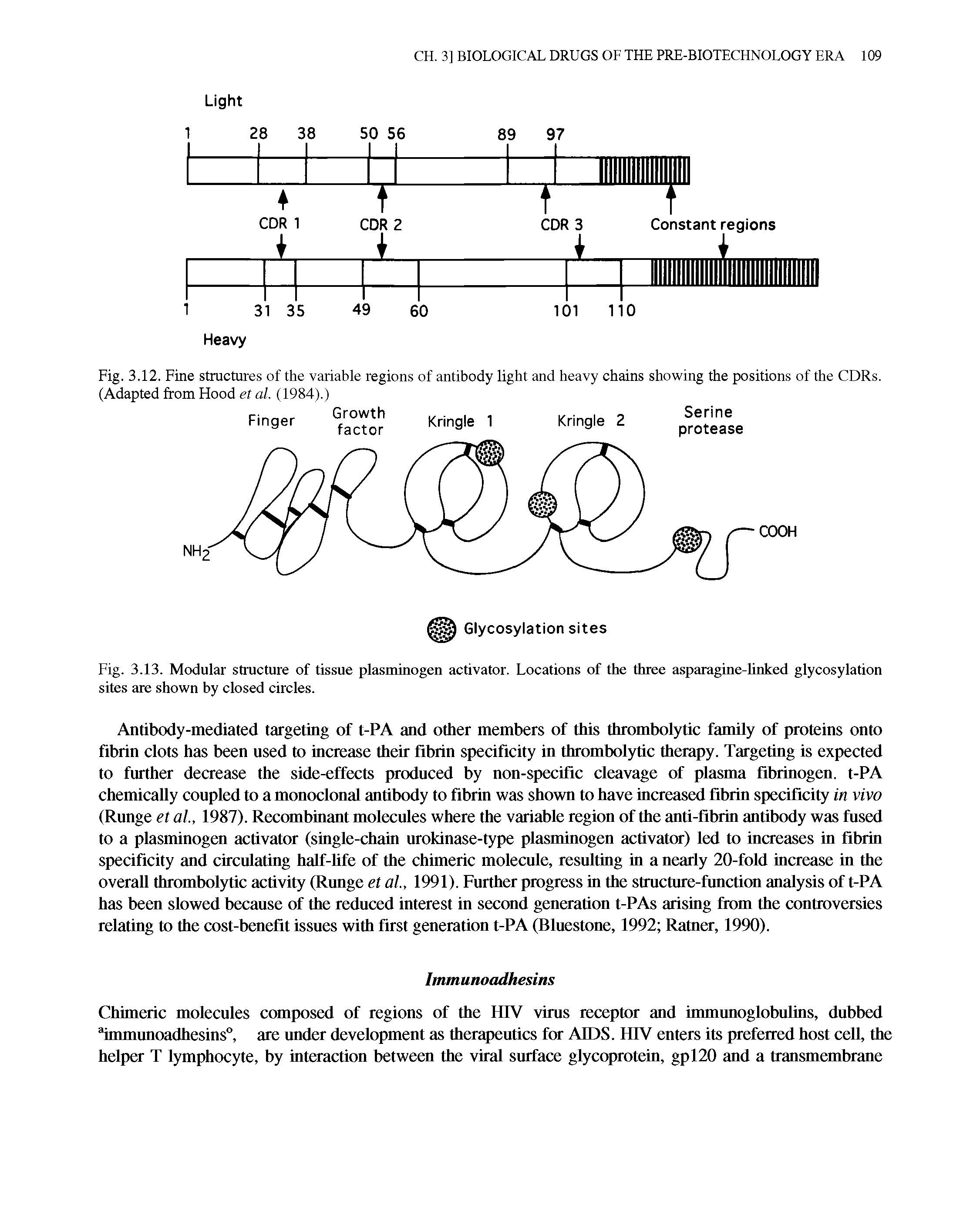 Fig. 3.12. Fine structures of the variable regions of antibody light and heavy chains showing the positions of the CDRs. (Adapted from Hood ef al. (1984).)...