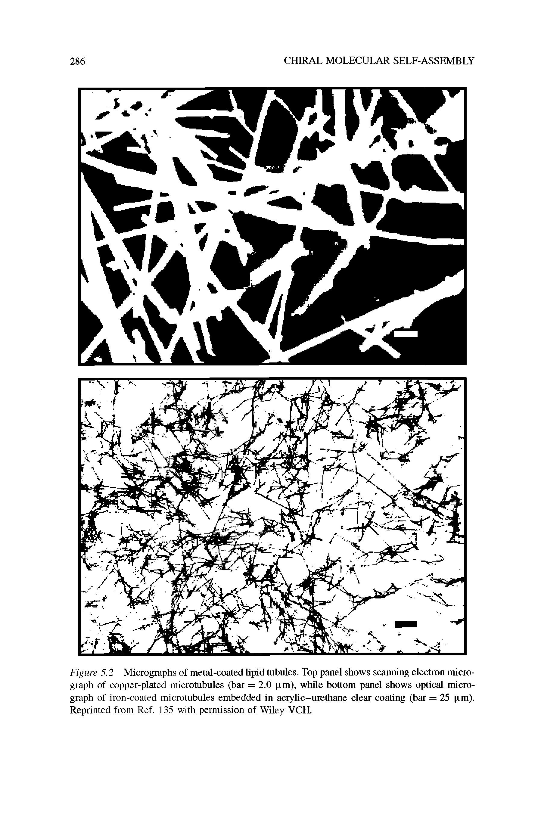 Figure 5.2 Micrographs of metal-coated lipid tubules. Top panel shows scanning electron micrograph of copper-plated microtubules (bar = 2.0 (Jim), while bottom panel shows optical micrograph of iron-coated microtubules embedded in acrylic-urethane clear coating (bar = 25 p,m). Reprinted from Ref. 135 with permission of Wiley-VCH.