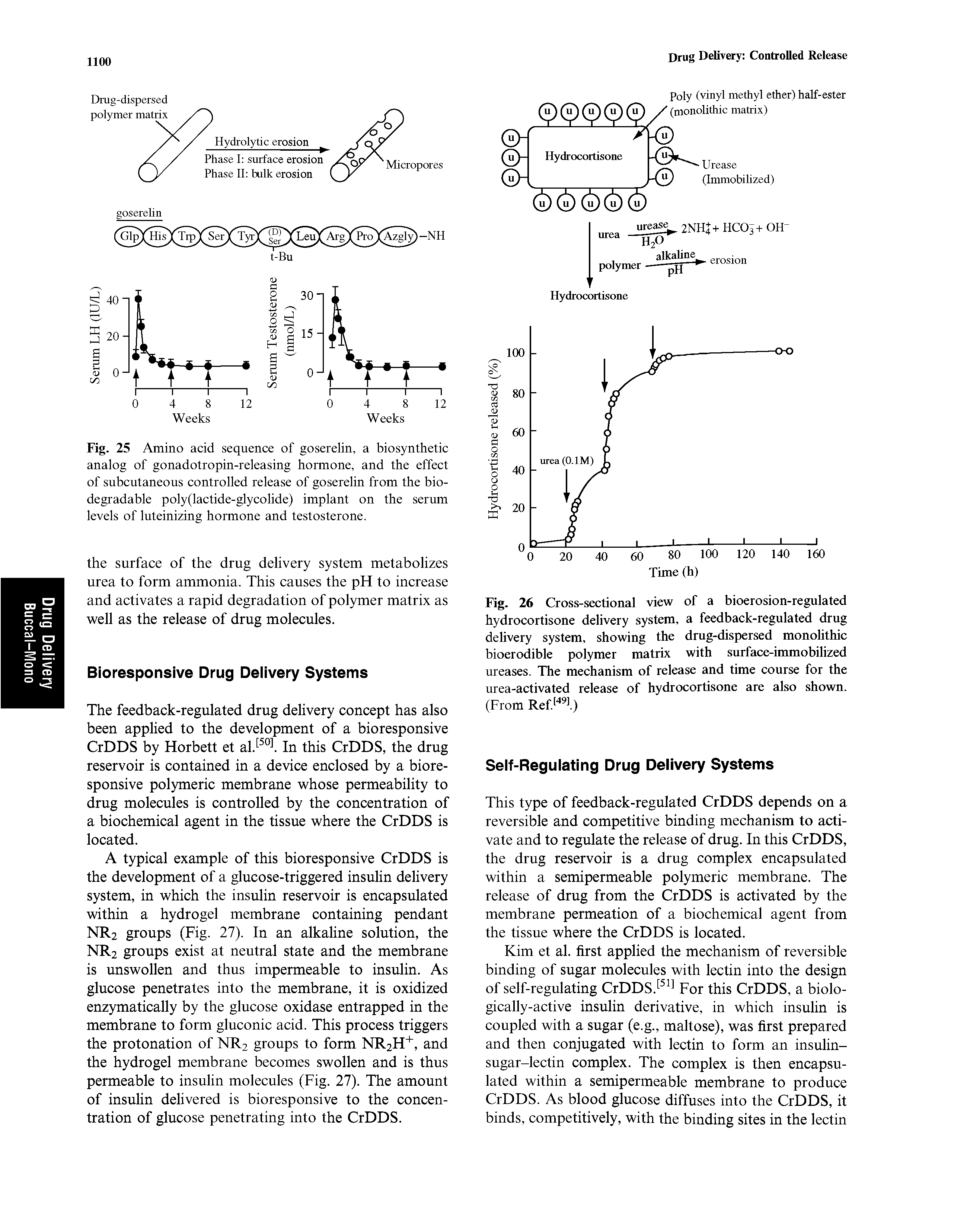 Fig. 26 Cross-sectional view of a bioerosion-regulated hydrocortisone delivery system, a feedback-regulated drug delivery system, showing the drug-dispersed monolithic bioerodible polymer matrix with surface-immobilized ureases. The mechanism of release and time course for the urea-activated release of hydrocortisone are also shown. (From Ref > 1)...