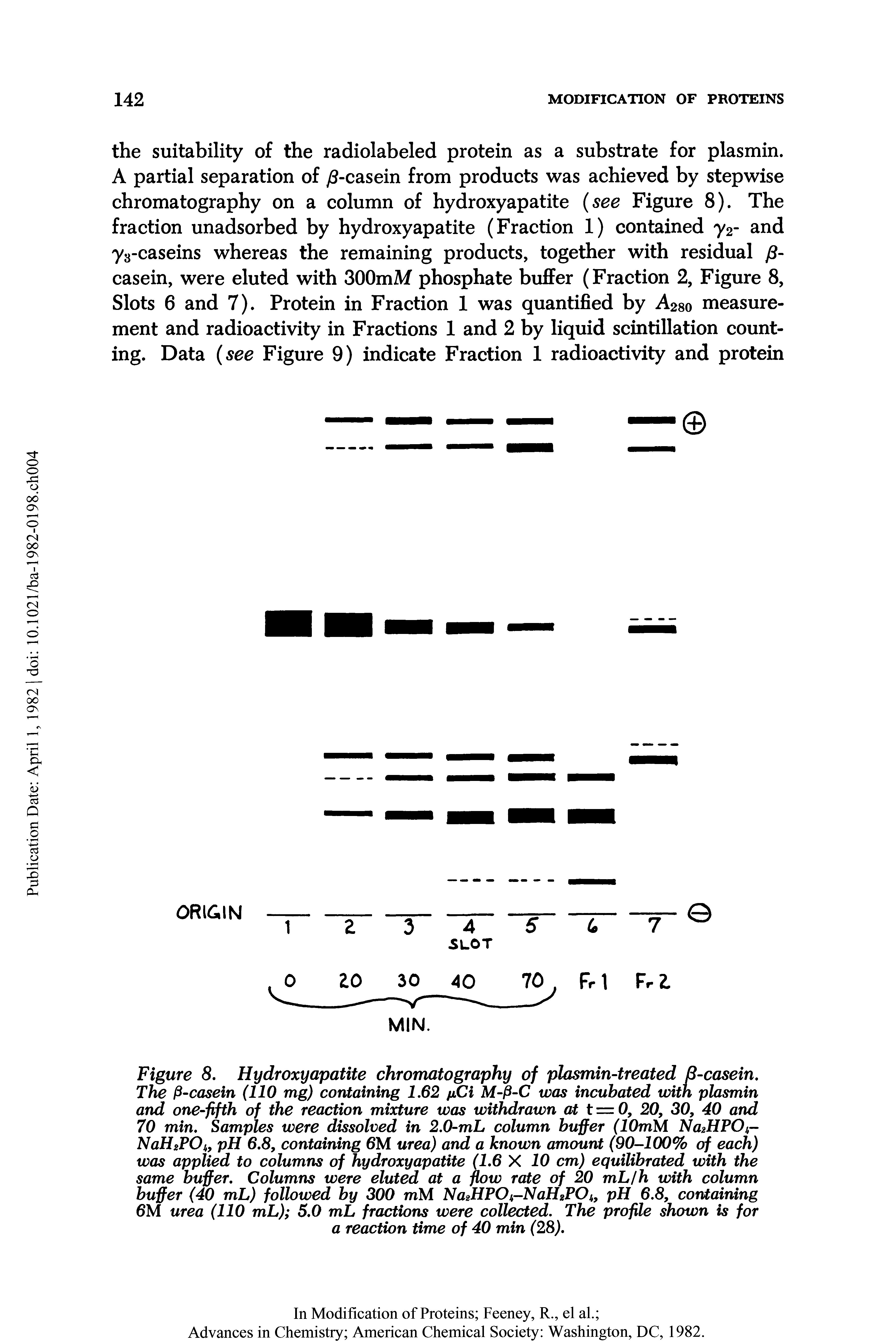 Figure 8. Hydroxyapatite chromatography of plasmin-treated 6-casein. The P-casein (110 mg) containing 1.62 fiCi M-P-C was incubated with plasmin and one-fifth of the reaction mixture was withdrawn at t — 0, 20, 30, 40 and 70 min. Samples were dissolved in 2.0-mL column buffer (lOmM Na2HPOi-NaHsPOi, pH 6.8, containing 6M urea) and a known amount (90-100% of each) was applied to columns of hydroxyapatite (1.6 X 10 cm) equilibrated with the same buffer. Columns were eluted at a flow rate of 20 mL/h with column buffer (40 mL) followed by 300 mM Na HPOi,-NaH2POi pH 6.8, containing 6M urea (110 mL) 5.0 mL fractions were collected. The profile shown is for a reaction time of 40 min (28).