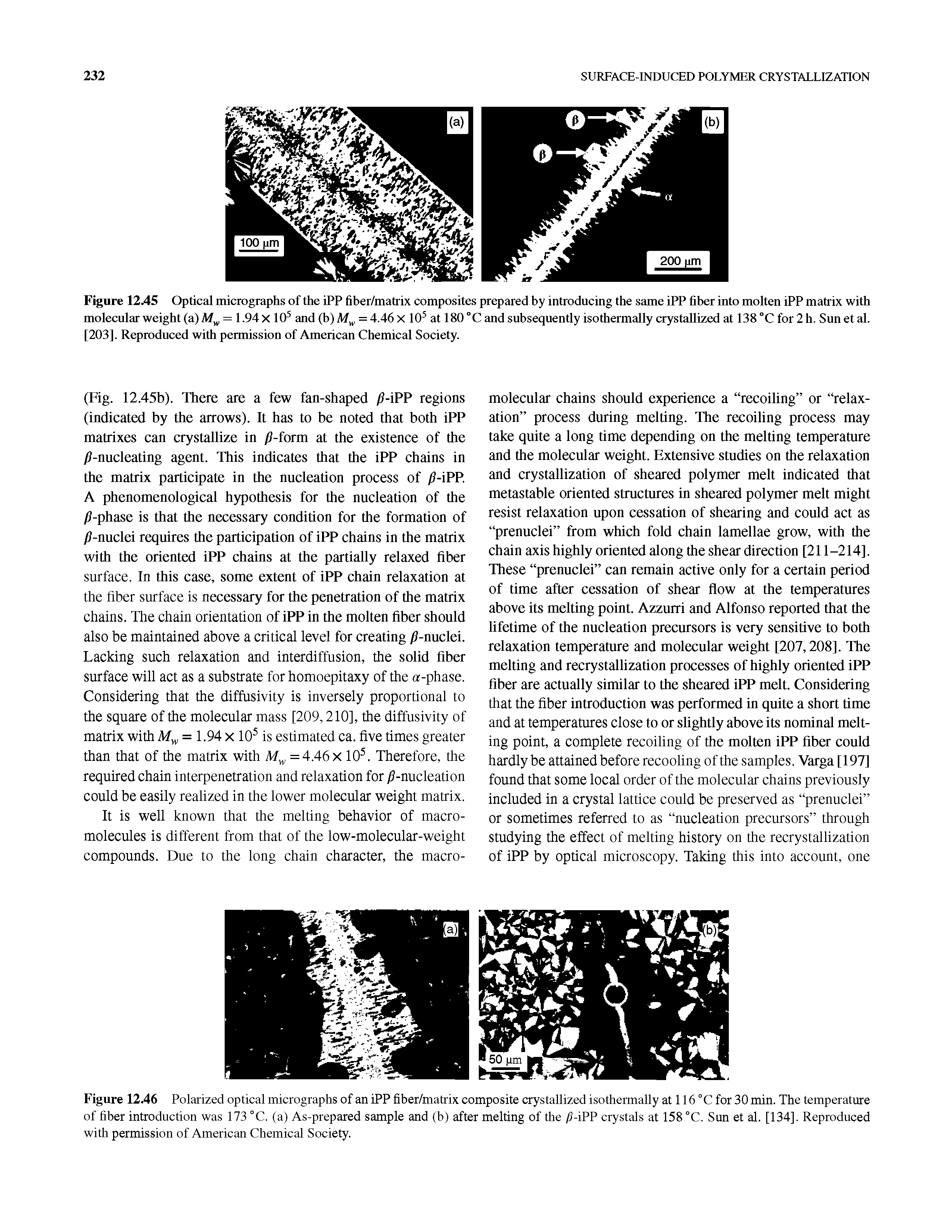 Figure 1245 Optical micrographs of the iPP fiber/matrix composites prepared by introducing the same iPP fiber into molten iPP matrix with molecular weight (a) = 1.94 X 10 and (b) = 4.46 X 10 at 180°CandsubsequentlyisothermaUy crystallized at 138 °C for2h. Sunetal.