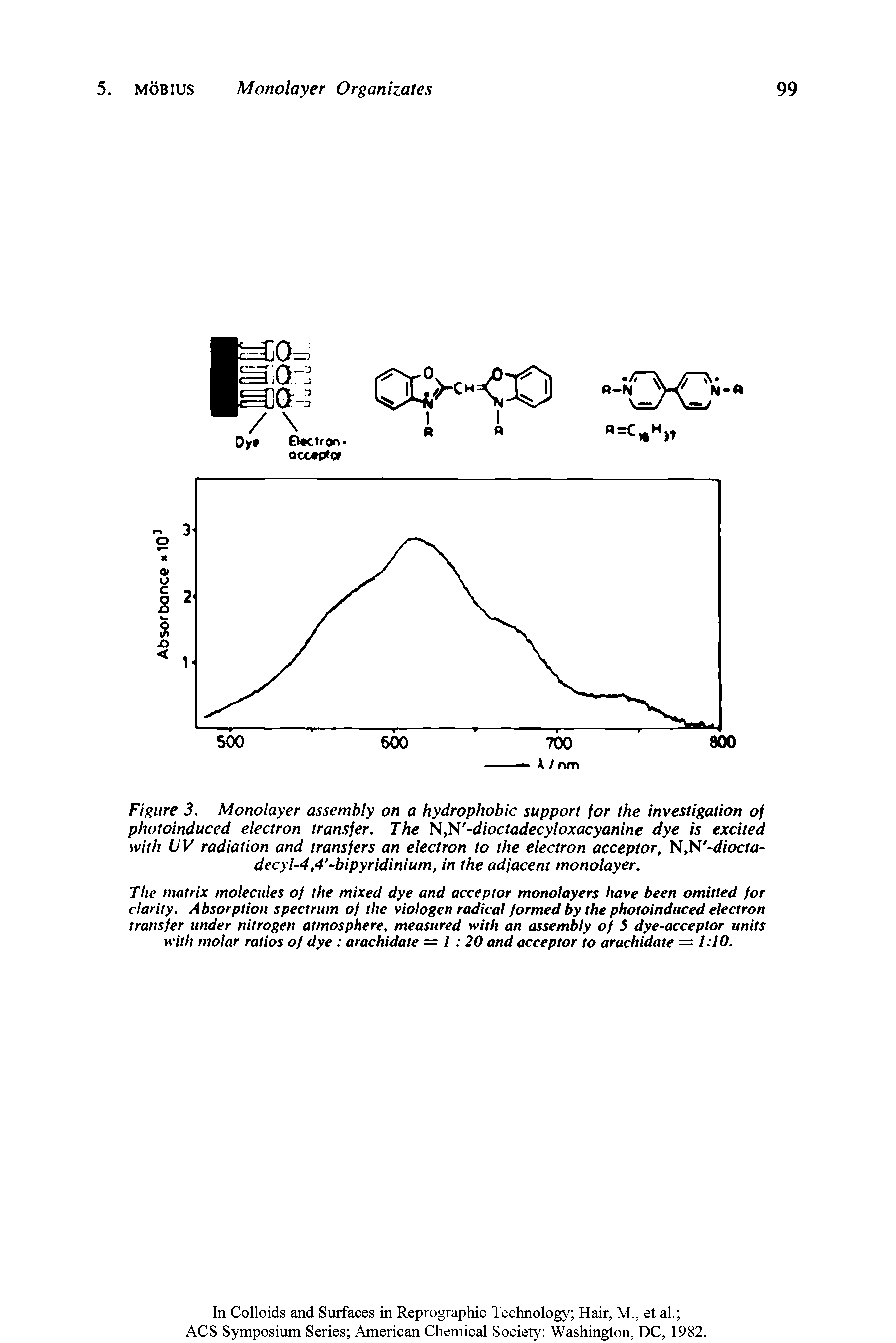 Figure 3. Monolayer assembly on a hydrophobic support for the investigation of photoinduced electron transfer. The N,N -dioctadecyIoxacyanine dye is excited with UV radiation and transfers an electron to the electron acceptor, N,N -diocta-decyl-4,4 -bipyridinium, in the adjacent monolayer.