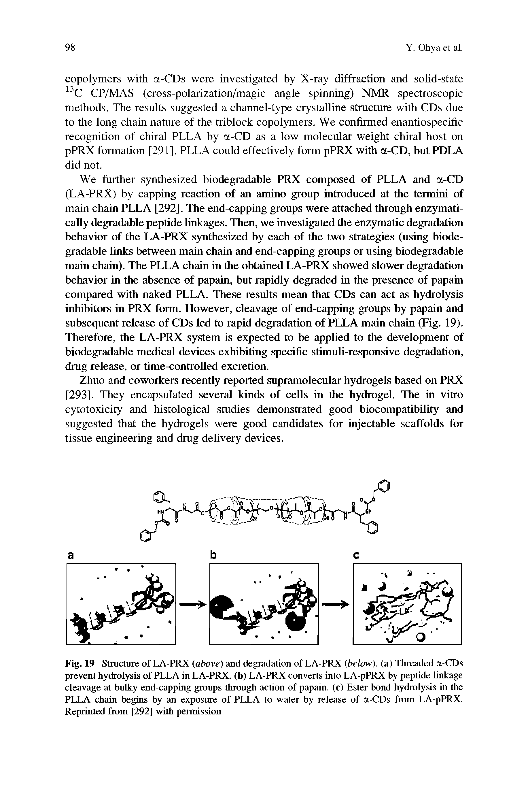 Fig. 19 Structure of LA-PRX (above) and degradation of LA-PRX (below), (a) Threaded a-CDs prevent hydrolysis of PLLA in LA-PRX. (b) LA-PRX converts into LA-pPRX by peptide linkage cleavage at bulky end-capping groups through action of papain, (c) Ester bond hydrolysis in the PLLA chain begins by an exposure of PLLA to water by release of a-CDs from LA-pPRX. Reprinted from [292] with permission...