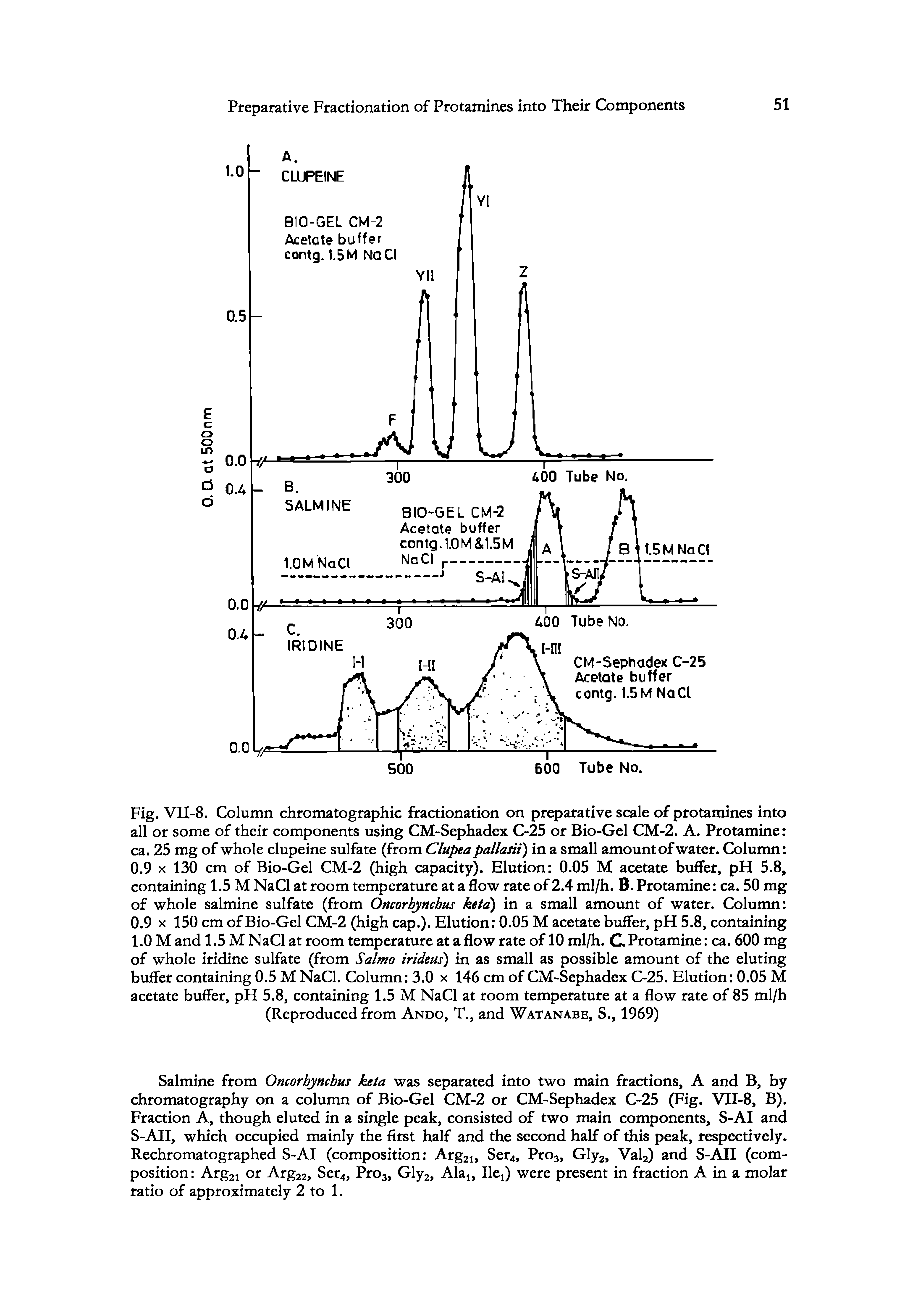 Fig. VII-8. Column chromatographic fractionation on preparative scale of protamines into all or some of their components using CM-Sephadex C-25 or Bio-Gel CM-2. A. Protamine ca. 25 mg of whole clupeine sulfate (from Clupea pallasii) in a small amount of water. Column 0.9 X 130 cm of Bio-Gel CM-2 (high capacity). Elution 0.05 M acetate buffer, pH 5.8, containing 1.5 M NaCl at room temperature at a flow rate of 2.4 ml/h. B. Protamine ca. 50 mg of whole salmine sulfate (from Oncorhynchus ketd) in a small amount of water. Column 0.9 X 150 cm of Bio-Gel CM-2 (high cap.). Elution 0.05 M acetate buffer, pH 5.8, containing 1.0 M and 1.5 M NaCl at room temperature at a flow rate of 10 ml/h. C Protamine ca. 600 mg of whole iridine sulfate (from Salmo irideus) in as small as possible amount of the eluting buffer containing 0.5 M NaCl. Column 3.0 x 146 cm of CM-Sephadex C-25. Elution 0.05 M acetate buffer, pH 5.8, containing 1.5 M NaCl at room temperature at a flow rate of 85 ml/b (Reproduced from Ando, T., and Watanabe, S., 1969)...