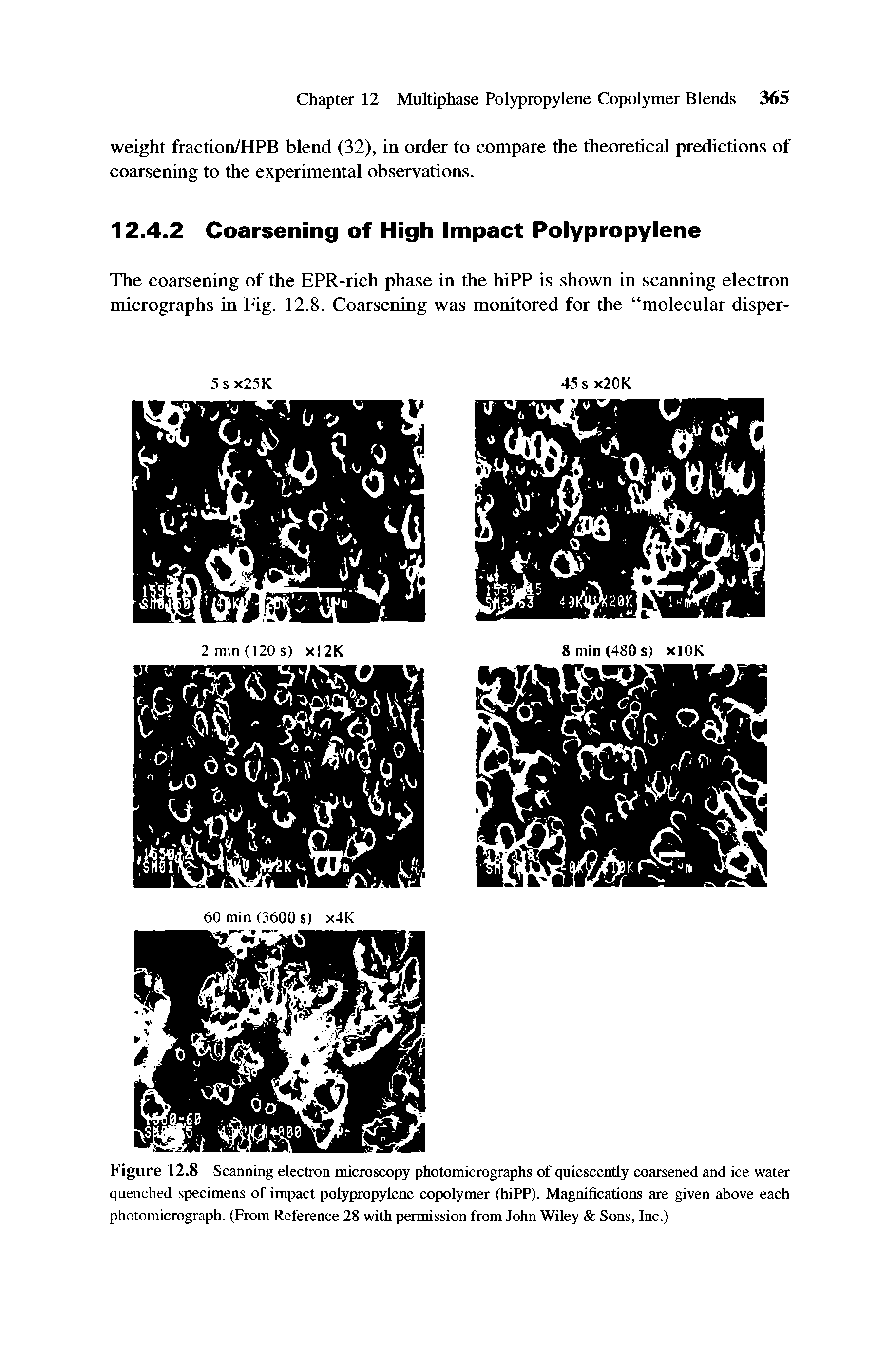 Figure 12.8 Scanning electron microscopy photomicrographs of quiescently coarsened and ice water quenched specimens of impact polypropylene copolymer (hiPP). Magnifications are given above each photomicrograph. (From Reference 28 with permission from John Wiley Sons, Inc.)...