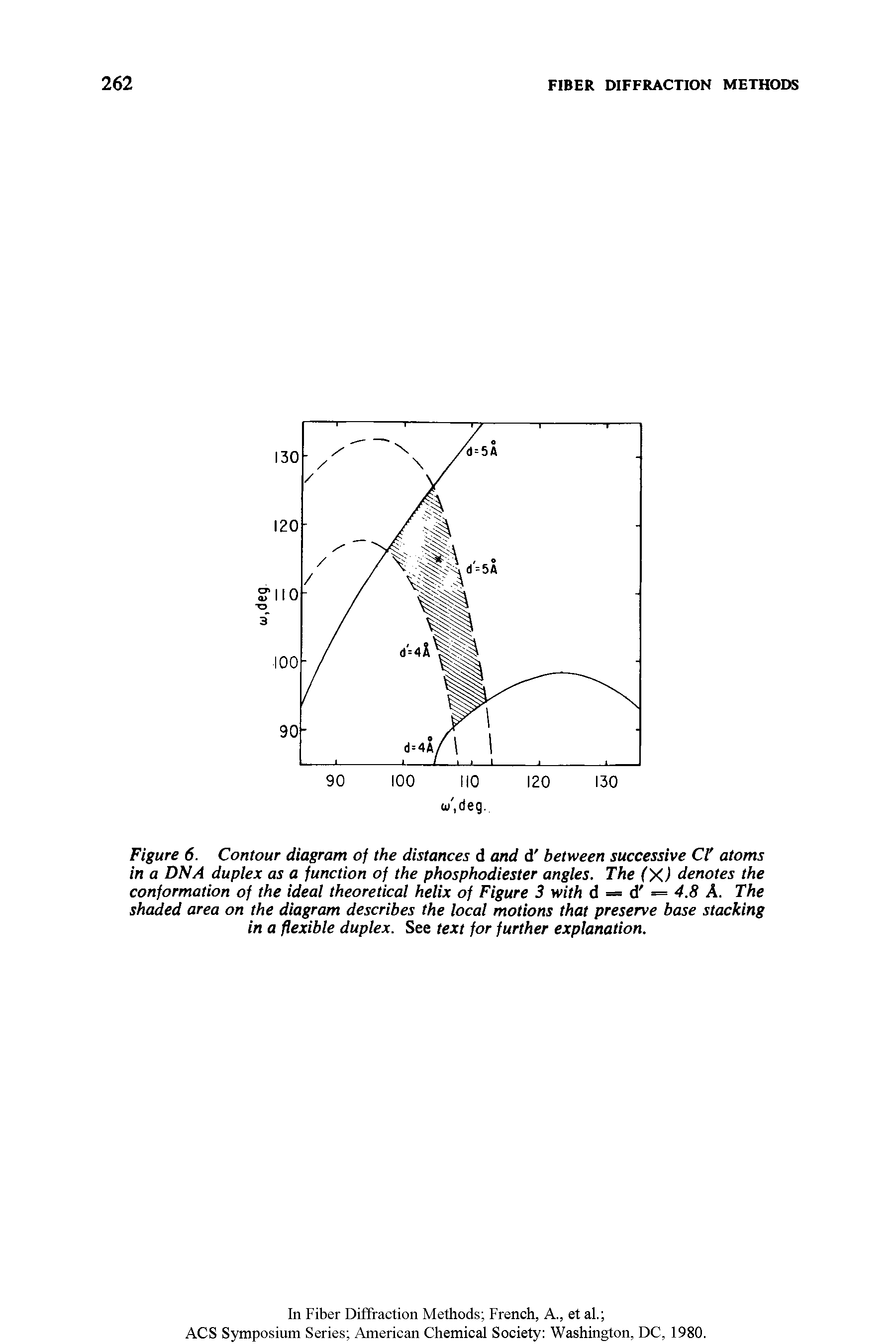 Figure 6. Contour diagram of the distances d and d between successive Cl atoms in a DNA duplex as a function of the phosphodiester angles. The (X) denotes the conformation of the ideal theoretical helix of Figure 3 with d = d = 4.8 A. The shaded area on the diagram describes the local motions that preserve base stacking in a flexible duplex. See text for further explanation.