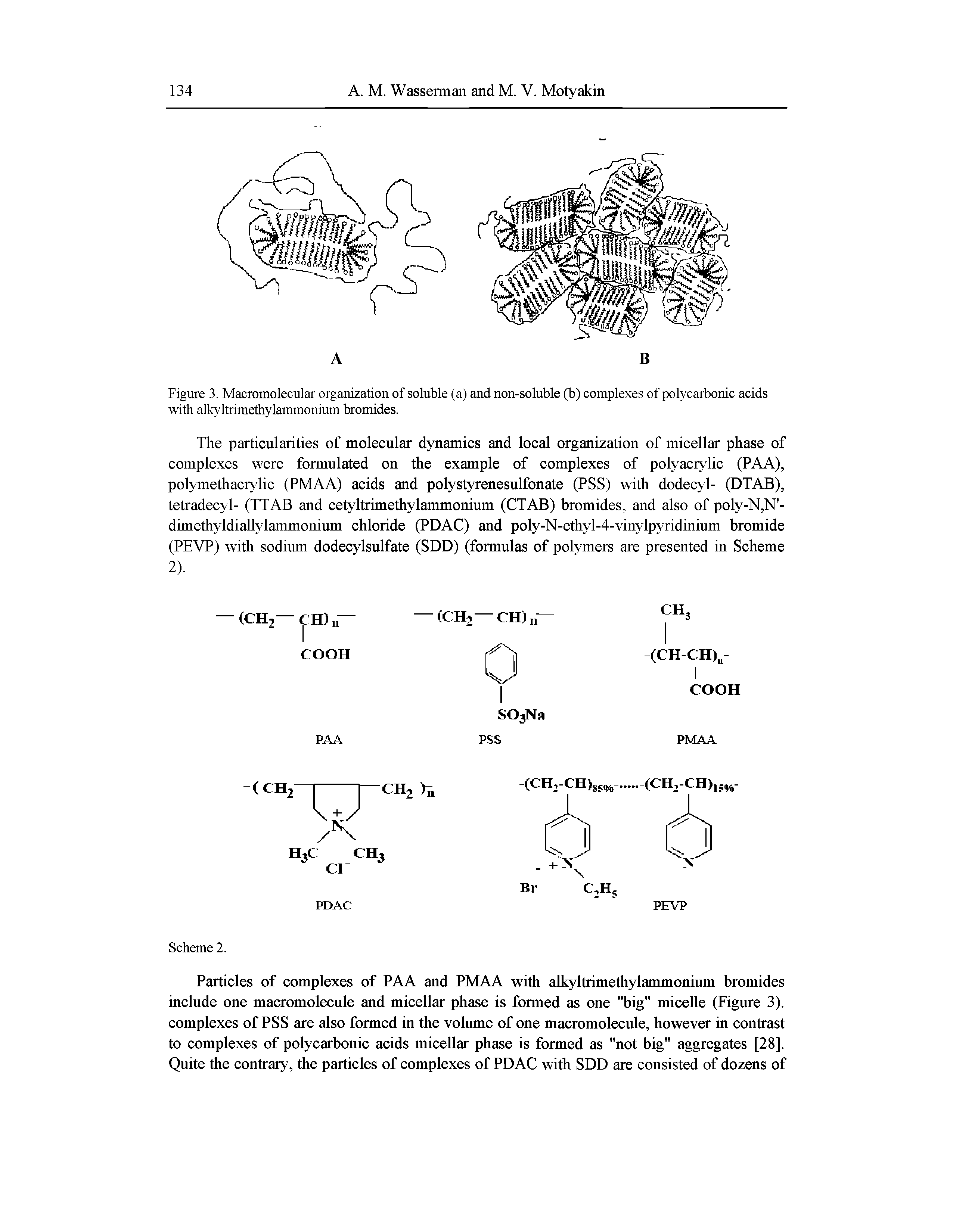 Figure 3. Macromolecular organization of soluble (a) and non-soluble (b) complexes of polycarbonic acids with alkyltrimethylammonium bromides.