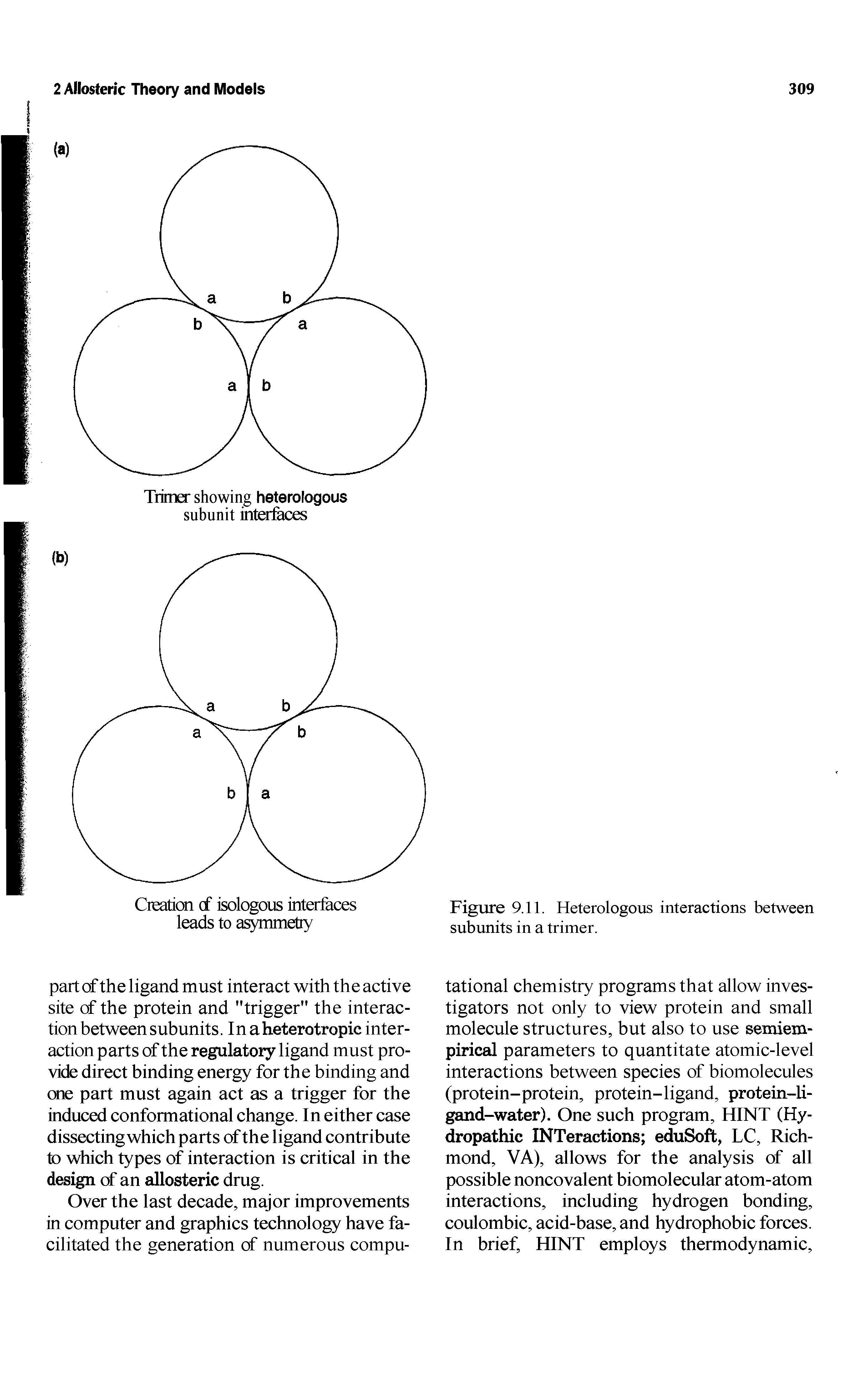 Figure 9.11. Heterologous interactions between subunits in a trimer.
