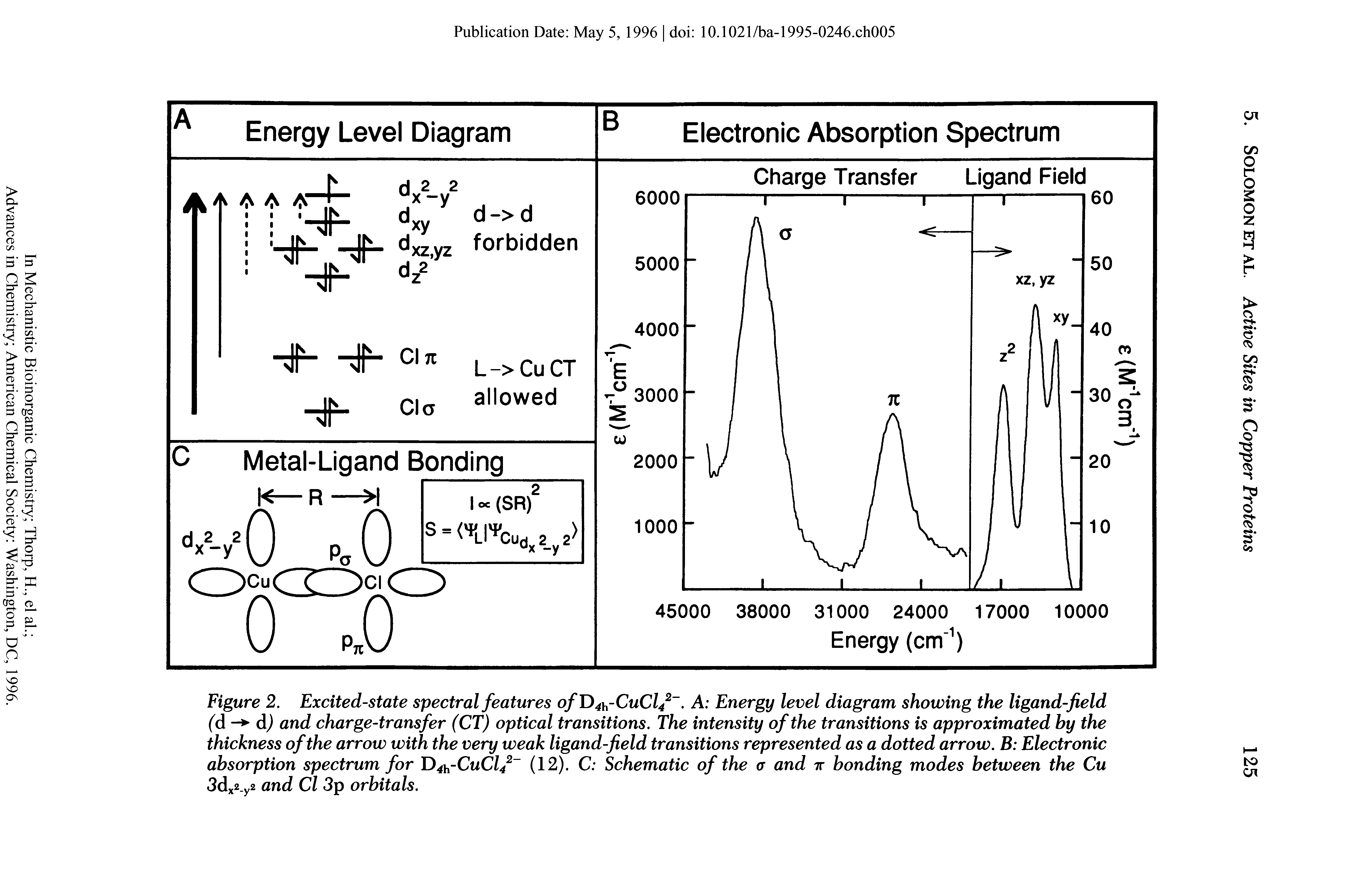Figure 2. Excited-state spectral features ofD -CuCl/-. A Energy level diagram showing the ligand-field (d - d) and charge-transfer (CT) optical transitions. The intensity of the transitions is approximated by the thickness of the arrow with the very weak ligand-field transitions represented as a dotted arrow. B Electronic absorption spectrum for D4h-CuCl42 (12). C Schematic of the a and tt bonding modes between the Cu 3dx2 y2 and Cl 3p orbitals.