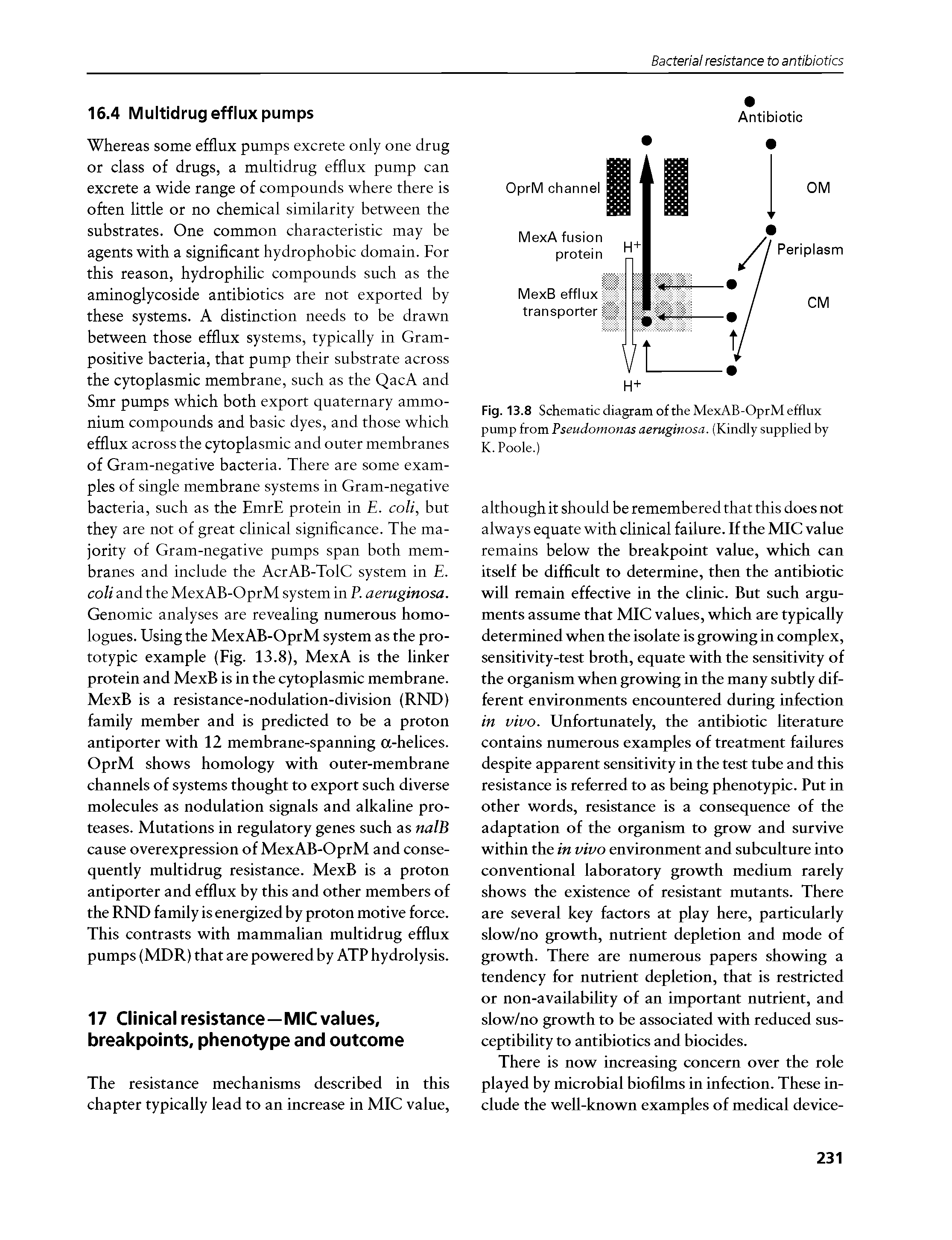 Fig. 13.8 Schematic diagram of the MexAB-OprM efflux pump from Pseudomonas aeruginosa. (Kindly supplied by K. Poole.)...