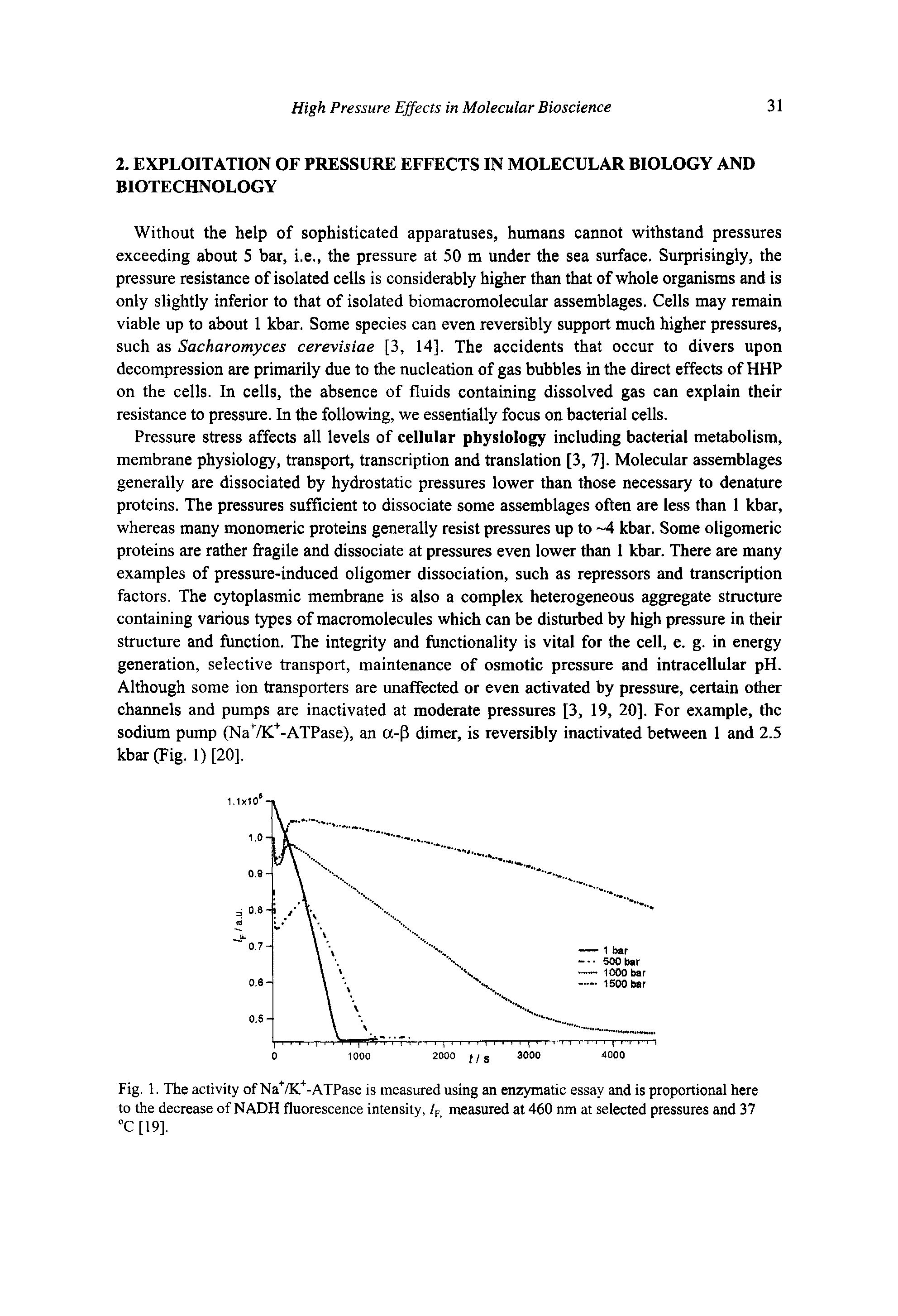 Fig. 1. The activity of Na /K -ATPase is measured using an enzymatic essay and is proportional here to the decrease of NADH fluorescence intensity, If measured at 460 nm at selected pressures and 37 C [19].