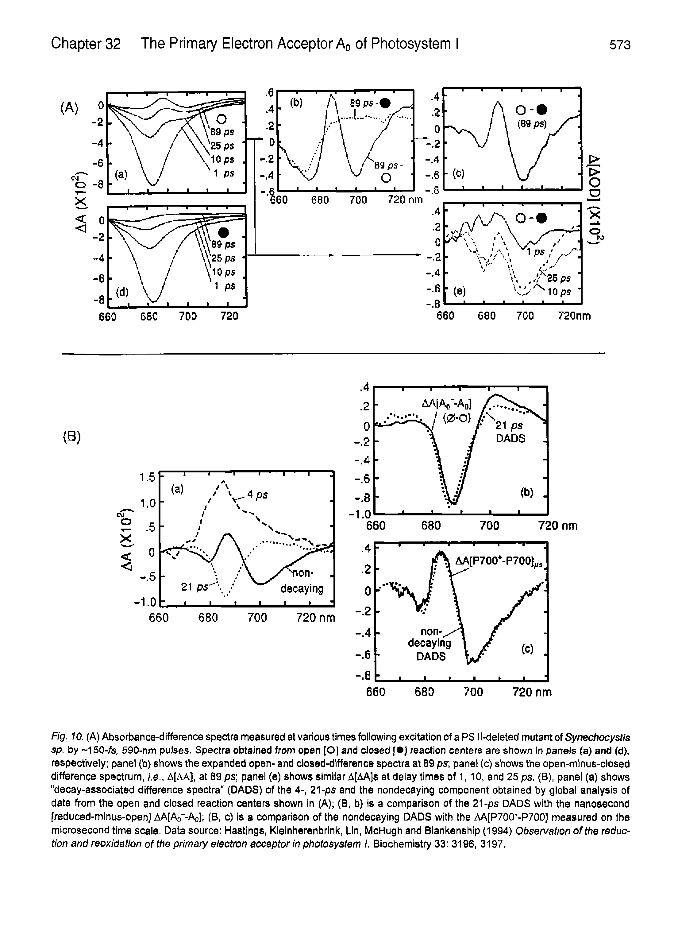 Fig. 10. (A) Absorbance-difference spectra measured at various times foliowing excitation of a PS ll-deieted mutant of Synechocystis sp. by l50-fe, 590-nm pulses. Spectra obtained from open [O] and closed [ ) reaction centers are shown in panels (a) and (d). respectively panel (b) shows the expanded open- and closed-difference spectra at 89 ps panel (c) shows the open-minus-closed difference spectrum, /.e., A[aa], at 89 ps panei (e) shows simiiar A[AA]s at deiay times of 1,10, and 25 ps. (B), panel (a) shows "decay-associated difference spectra" (DADS) of the 4-, 21-ps and the nondecaying component obtained by global analysis of data from the open and closed reaction centers shown in (A) (B, b) is a comparison of the 21-ps DADS with the nanosecond [reduced-minus-open] AA[Ao"-Ao] (B, c) is a comparison of the nondecaying DADS with the AA[P700 -P700] measured on the microsecond time scale. Data source Hastings, Kleinherenbrink, Lin, McHugh and Blankenship (1994) Observation of the reduction and reoxidation of the primary eiectron acceptor in photosystem i. Biochemistry 33 3196, 3197.