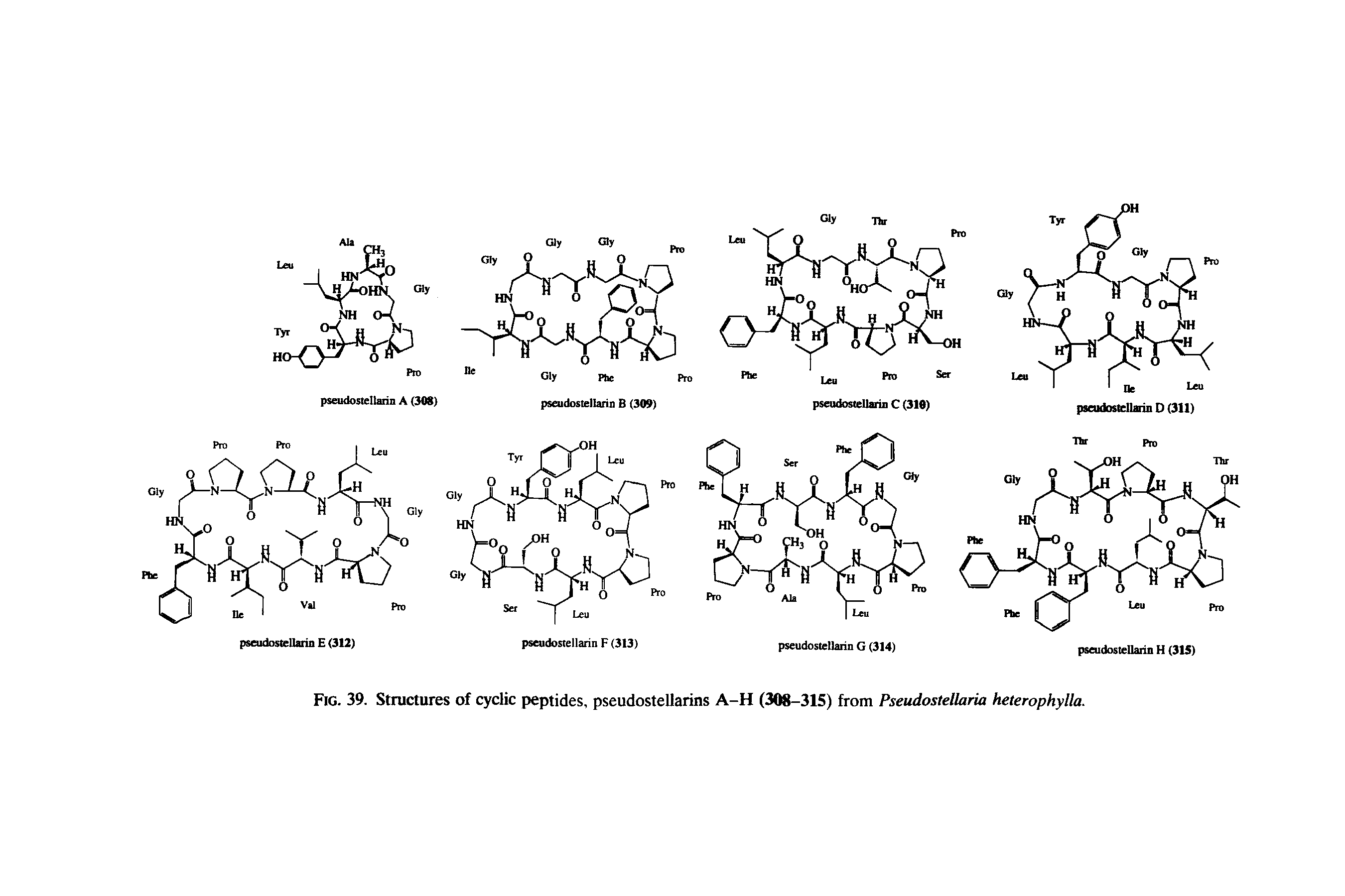 Fig. 39. Structures of cyclic peptides, pseudostellarins A-H (308-315) from Pseudostellaria heterophylla.