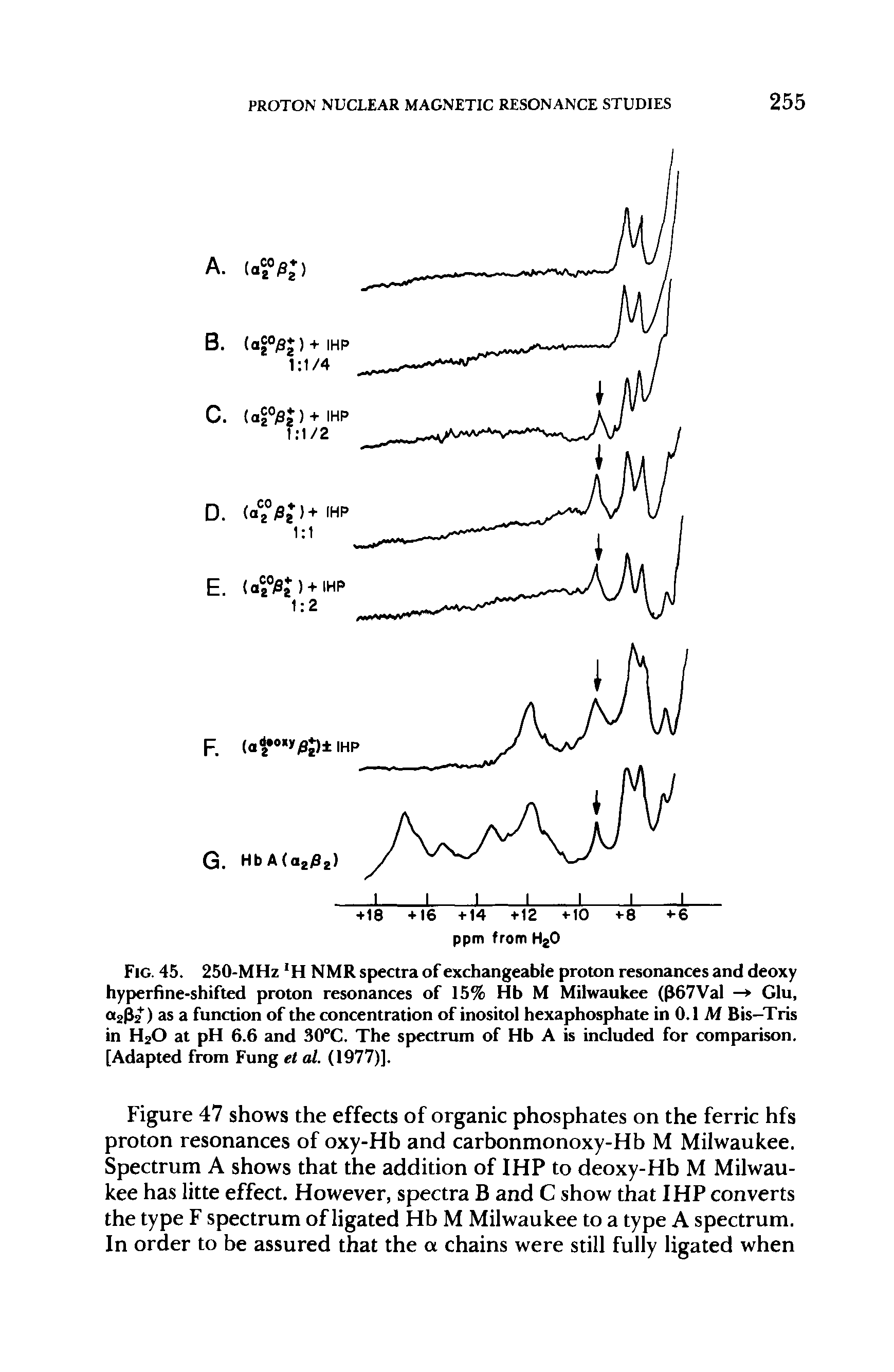 Fig. 45. 250-MHz H NMR spectra of exchangeable proton resonances and deoxy hyperfine-shifted proton resonances of 15% Hb M Milwaukee (p67Val — Glu, a2p2 ) as a function of the concentration of inositol hexaphosphate in 0.1 M Bis-Tris in H20 at pH 6.6 and 30°C. The spectrum of Hb A is included for comparison. [Adapted from Fung et al. (1977)].