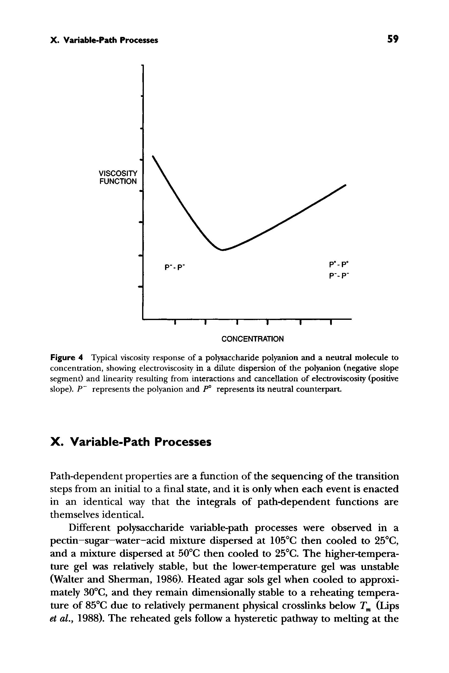 Figure 4 Typical viscosity response of a polysaccharide polyanion and a neutral molecule to concentration, showing electroviscosity in a dilute dispersion of the polyanion (negative slope segment) and linearity resulting from interactions and cancellation of electroviscosity (positive slope). P represents the polyanion and P° represents its neutral counterpart.