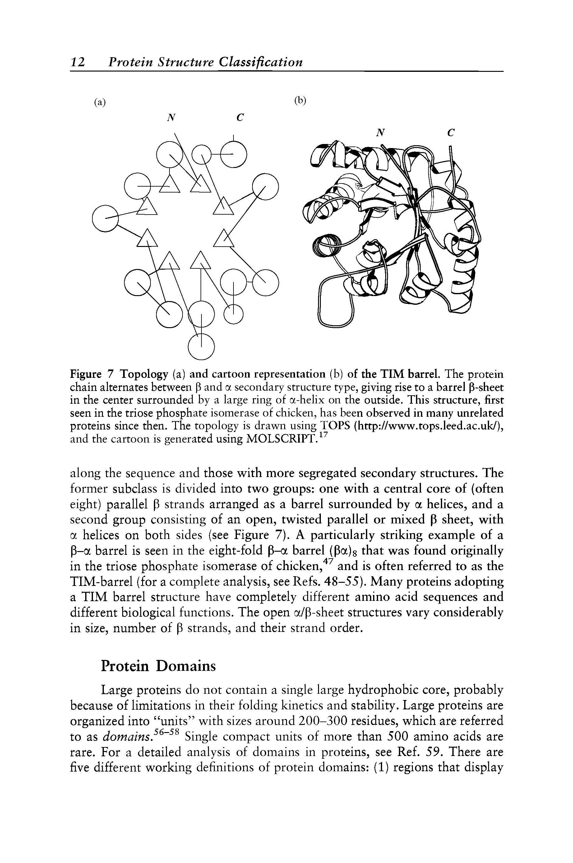 Figure 7 Topology (a) and cartoon representation (b) of the TIM barrel. The protein chain alternates between P and a secondary structure type, giving rise to a barrel P-sheet in the center surrounded by a large ring of a-helix on the outside. This structure, first seen in the triose phosphate isomerase of chicken, has been observed in many unrelated proteins since then. The topology is drawn using TOPS (http //www.tops.leed.ac.uk/), and the cartoon is generated using MOLSCRIPT. ...