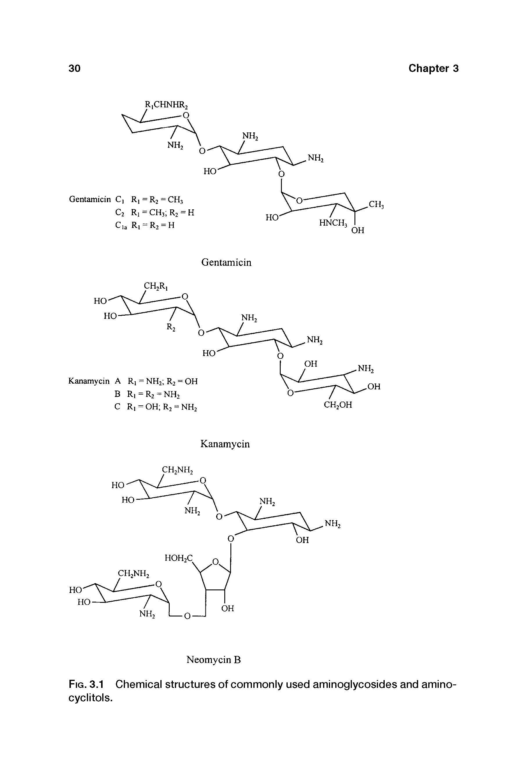 Fig. 3.1 Chemical structures of commonly used aminoglycosides and aminocyclitols.