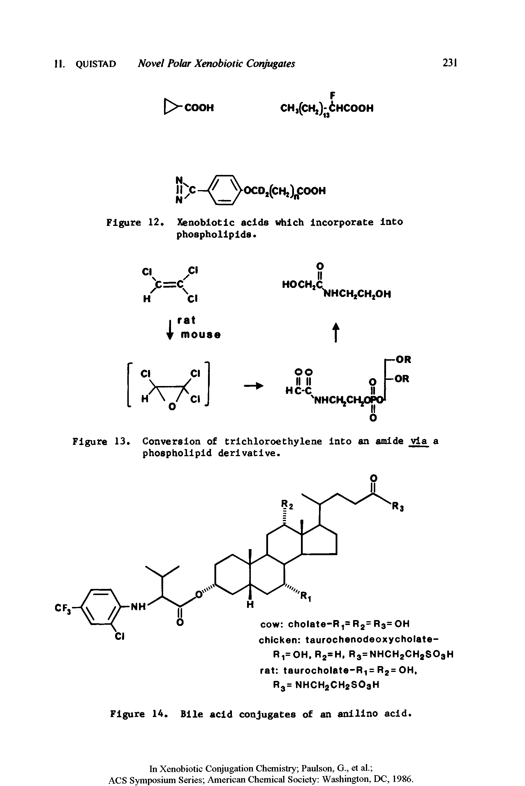 Figure 14. Bile acid conjugates of an anlllno acid.