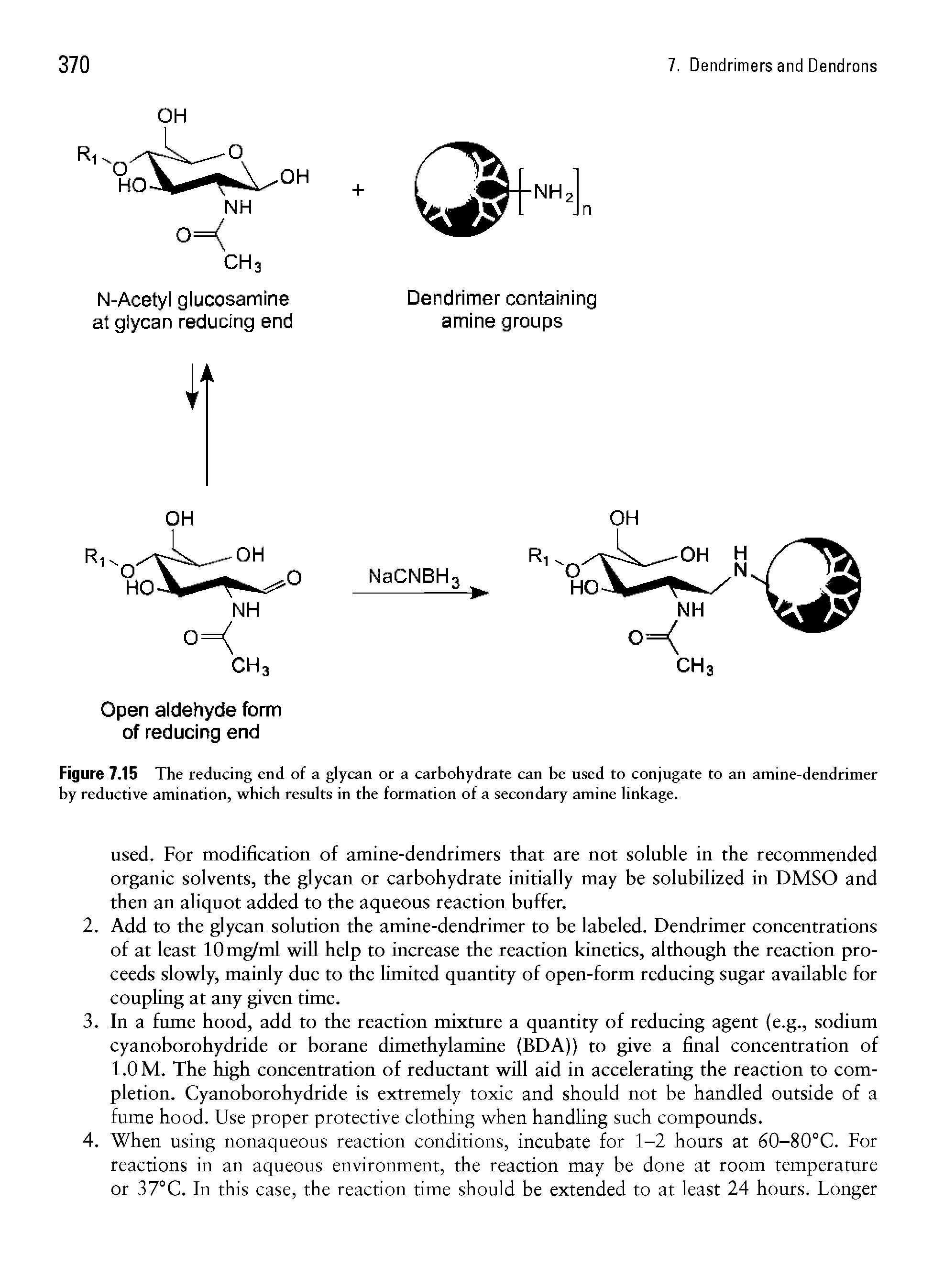Figure 7.15 The reducing end of a glycan or a carbohydrate can be used to conjugate to an amine-dendrimer by reductive amination, which results in the formation of a secondary amine linkage.