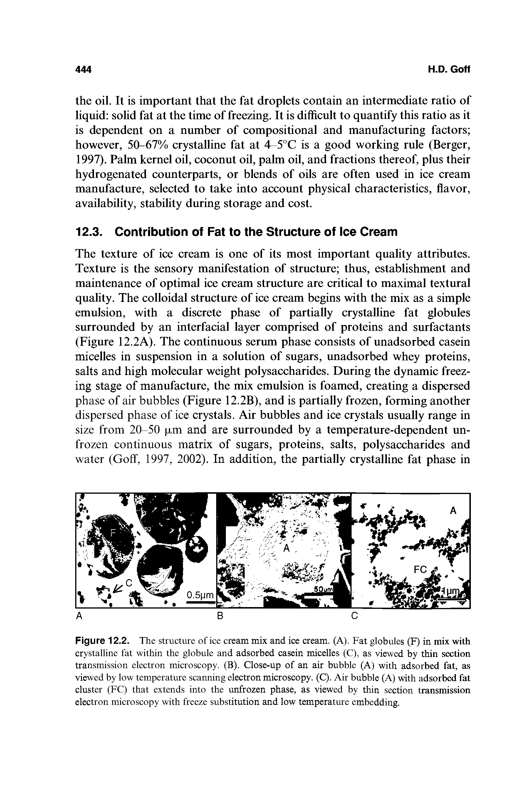 Figure 12.2. The structure of ice cream mix and ice cream. (A). Fat globules (F) in mix with crystalline fat within the globule and adsorbed casein micelles (C), as viewed by thin section transmission electron microscopy. (B). Close-up of an air bubble (A) with adsorbed fat, as viewed by low temperature scanning electron microscopy. (C). Air bubble (A) with adsorbed fat cluster (FC) that extends into the unfrozen phase, as viewed by thin section transmission electron microscopy with freeze substitution and low temperature embedding.