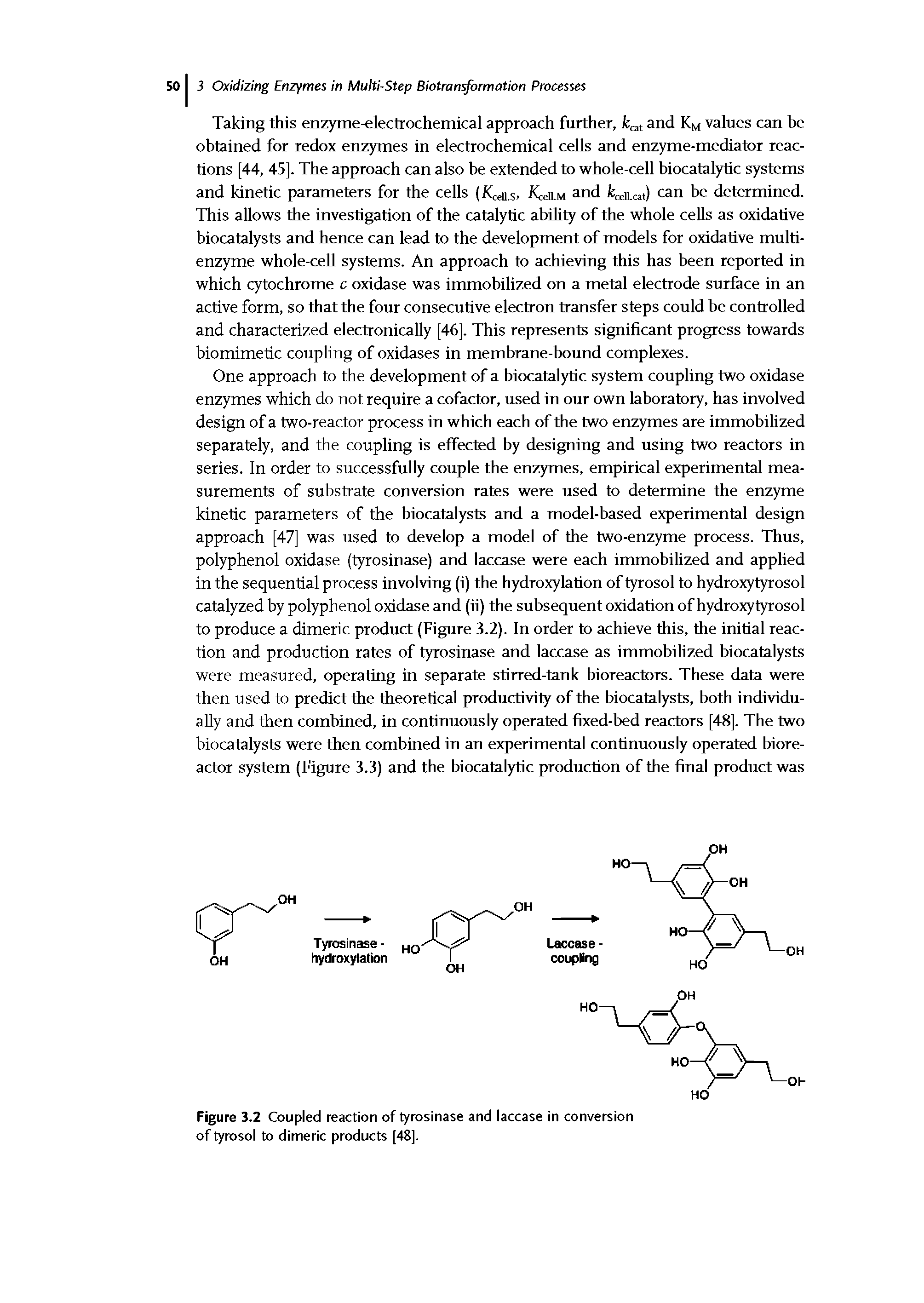 Figure 3.2 Coupled reaction of tyrosinase and laccase in conversion of tyrosol to dimeric products [48].