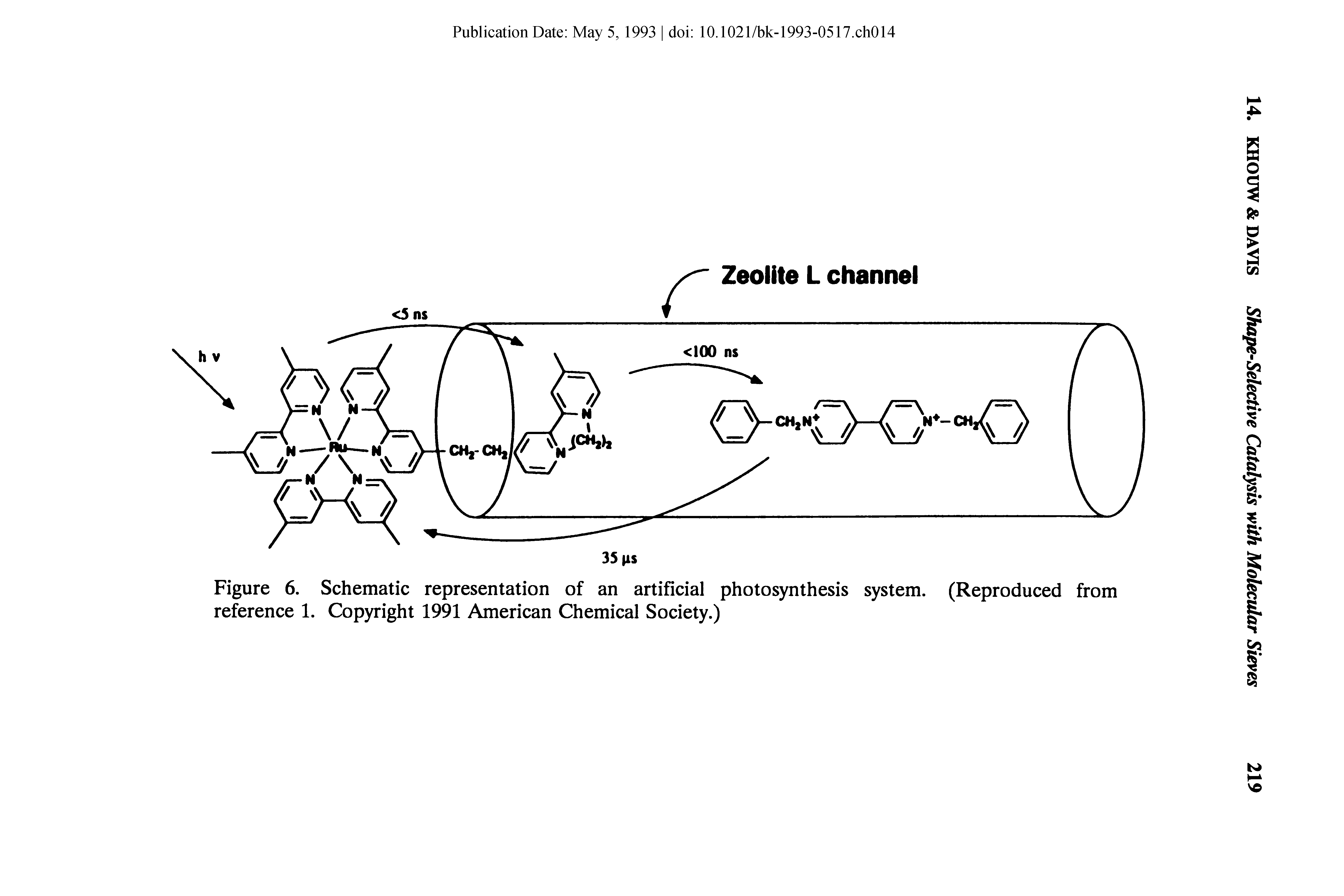 Figure 6. Schematic representation of an artificial photosynthesis system. (Reproduced from reference 1. Copyright 1991 American Chemical Society.)...