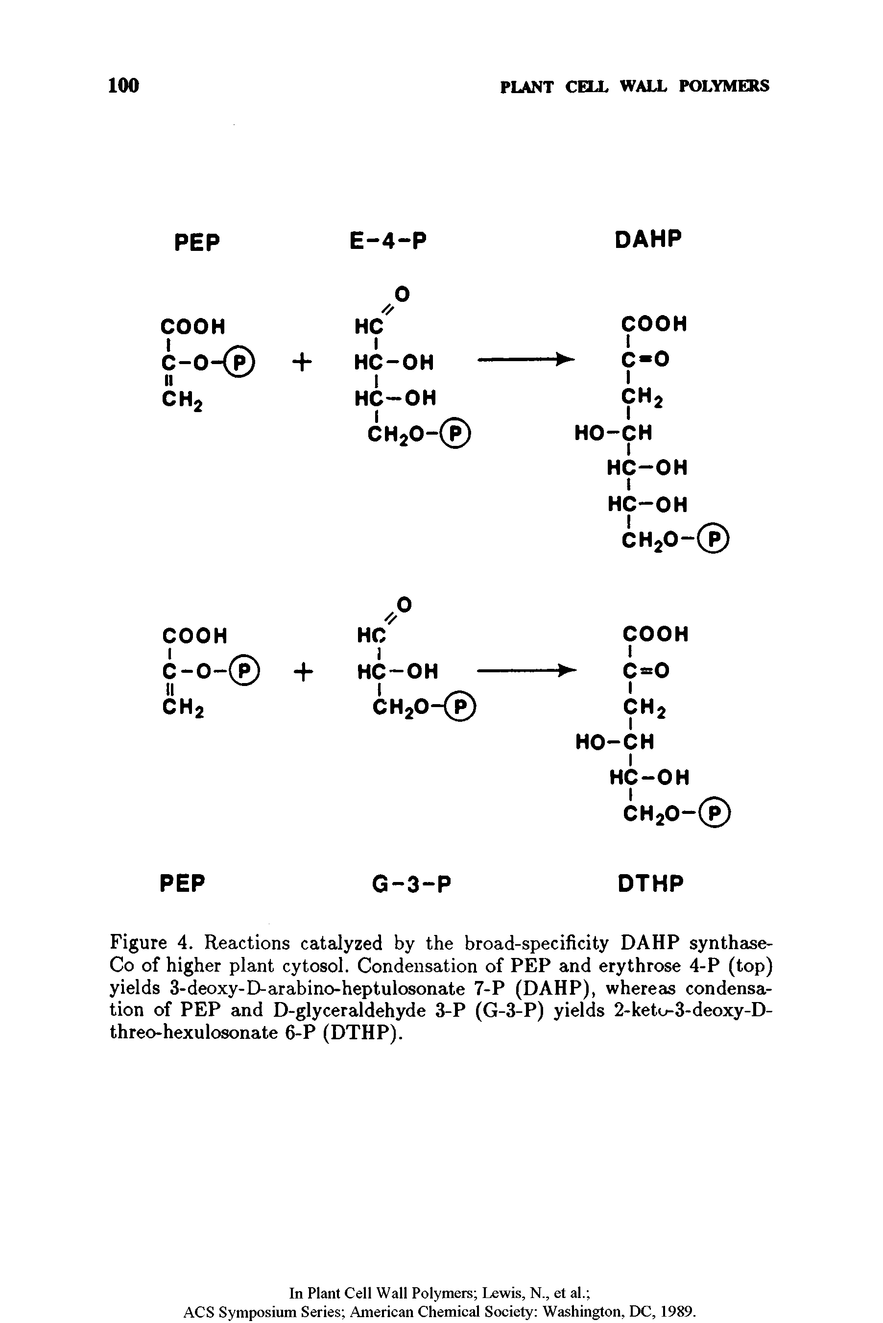 Figure 4. Reactions catalyzed by the broad-specificity DAHP synthase-Co of higher plant cytosol. Condensation of PEP and erythrose 4-P (top) yields 3-deoxy-D-arabino-heptulosonate 7-P (DAHP), whereas condensation of PEP and D-glyceraldehyde 3-P (G-3-P) yields 2-keto-3-deoxy-D-threo-hexulosonate 6-P (DTHP).