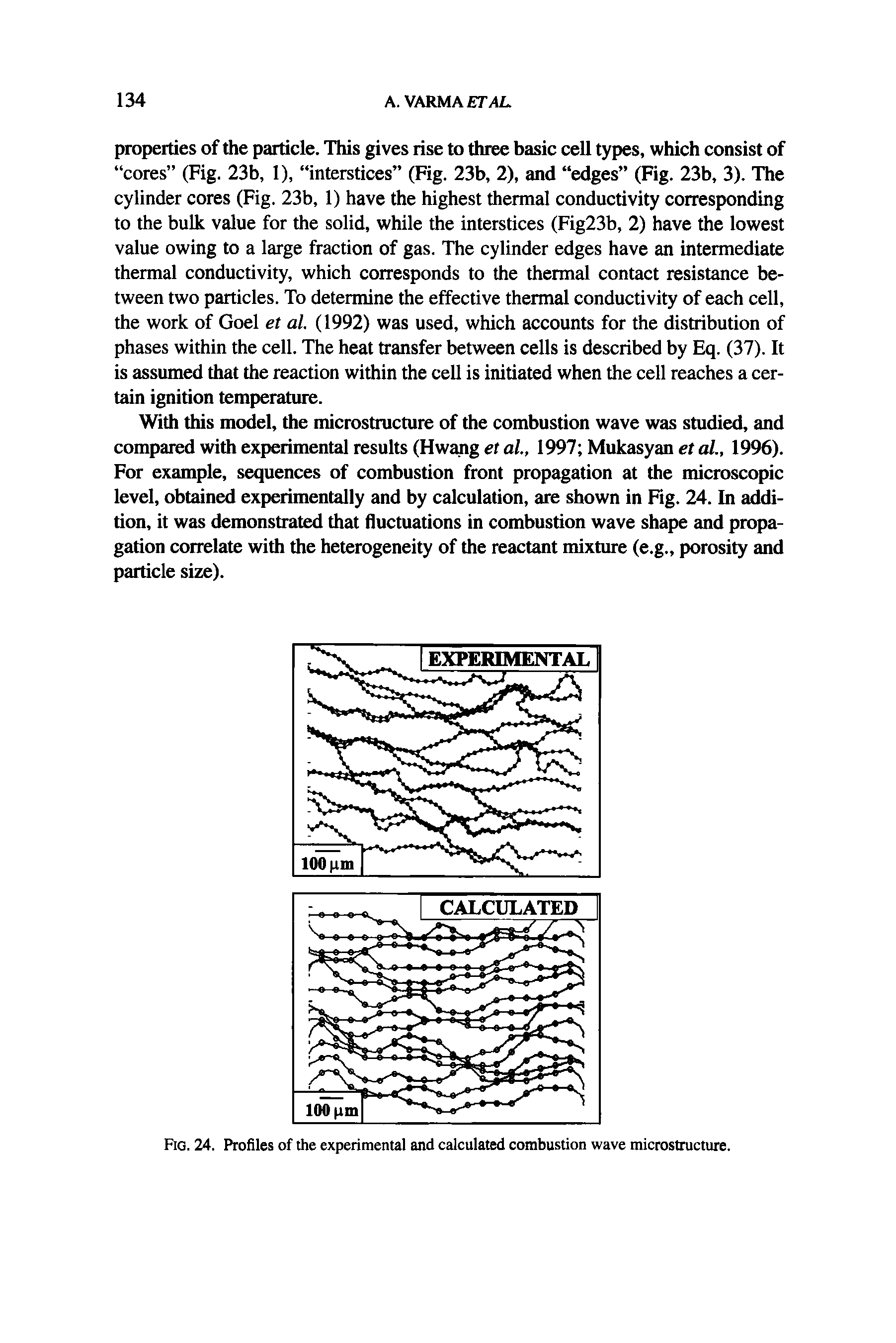 Fig. 24. Profiles of the experimental and calculated combustion wave microstructure.