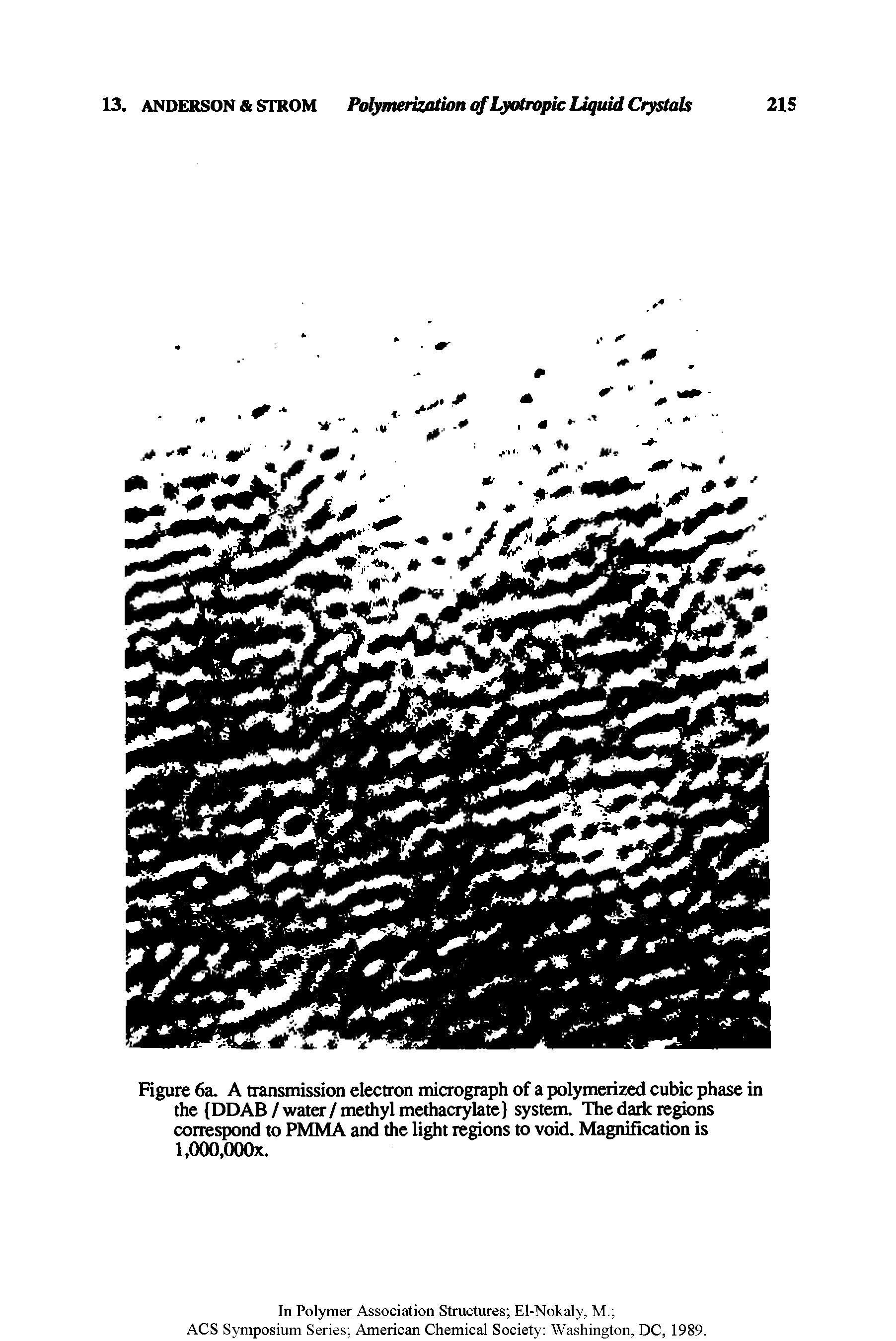 Figure 6a. A transmission electron micrograph of a polymerized cubic phase in the DDAB/water/methyl methacrylate) system. The dark regions correspond to PMMA and the light regions to void. Magnification is l.OOO.OOOx.
