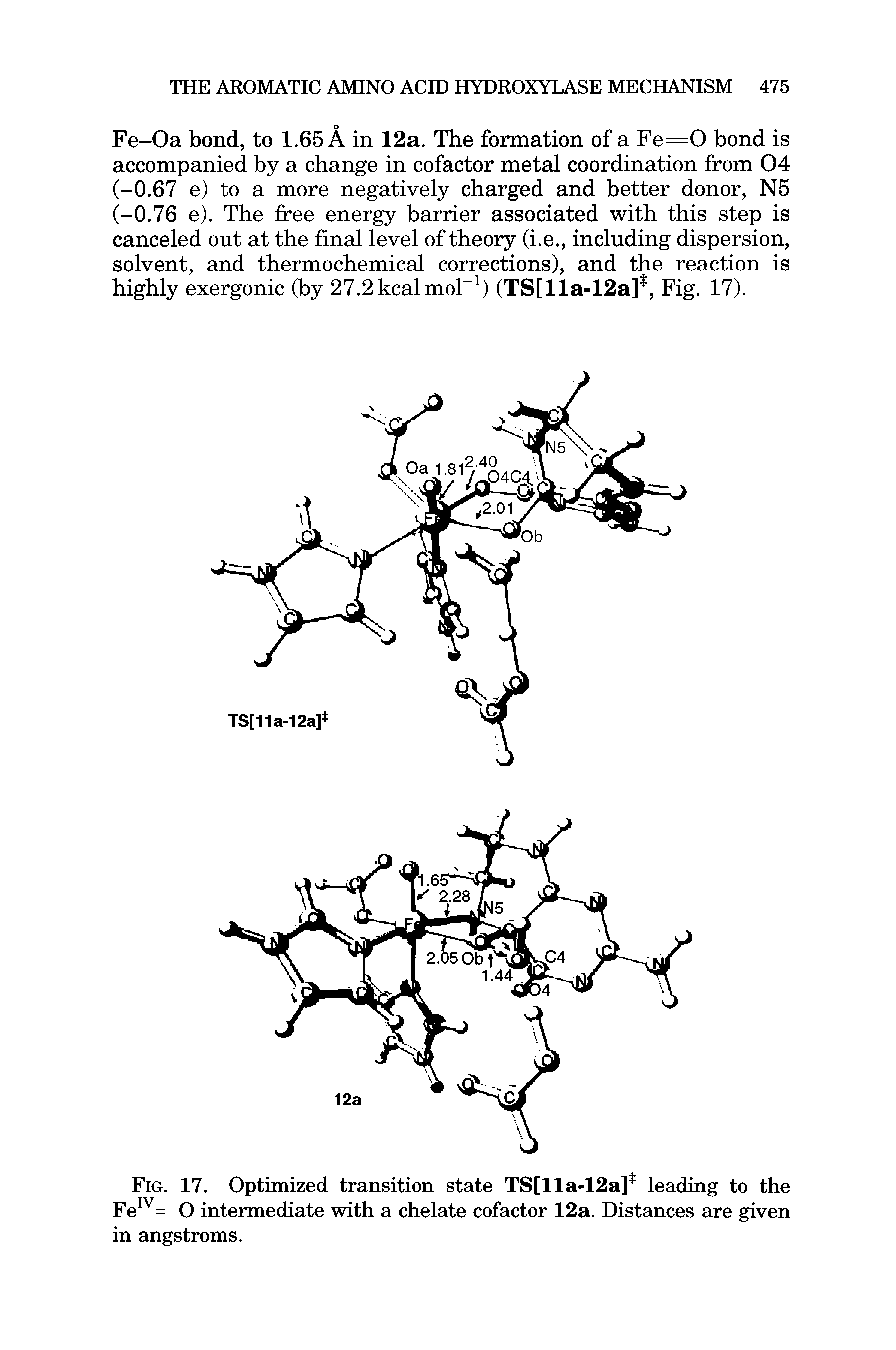 Fig. 17. Optimized transition state 8[11 -12 ] leading to the FeIV=0 intermediate with a chelate cofactor 12a. Distances are given in angstroms.