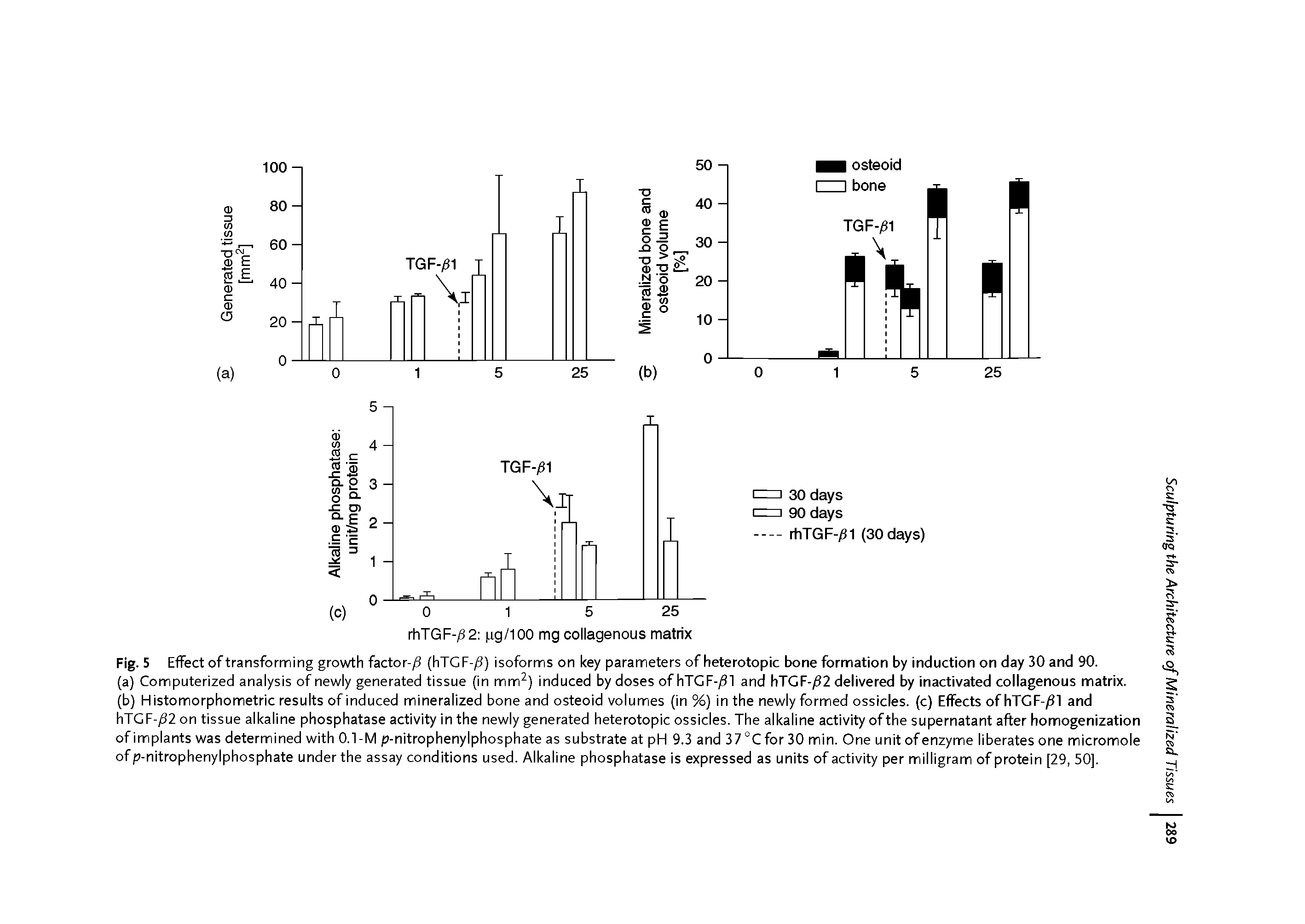 Fig. 5 Effect of transforming growth factor-/ (hTGF-/9) isoforms on key parameters of heterotopic bone formation by induction on day 30 and 90.