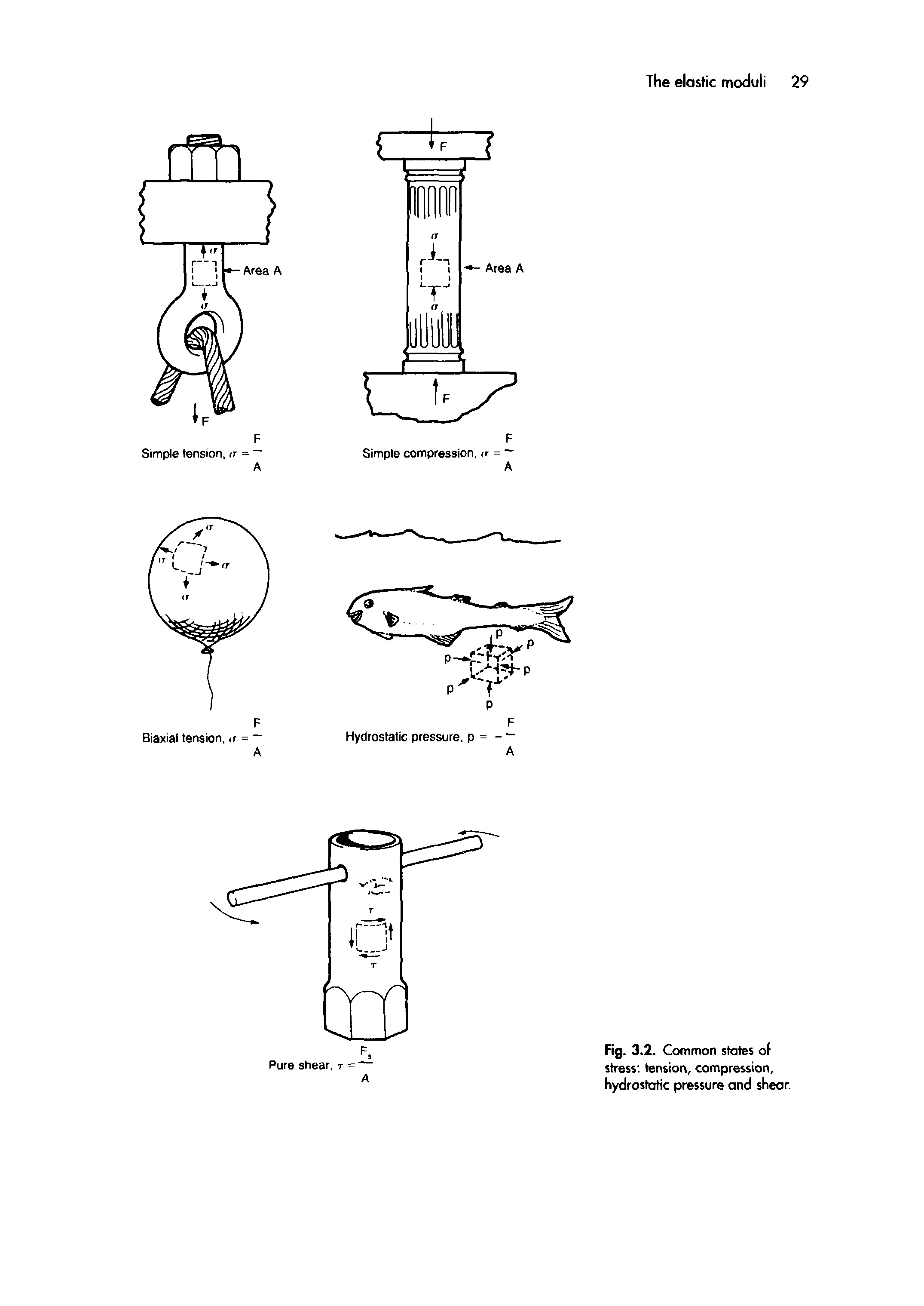 Fig. 3.2. Common slates of stress, tension, compression, hydrostatic pressure and shear.