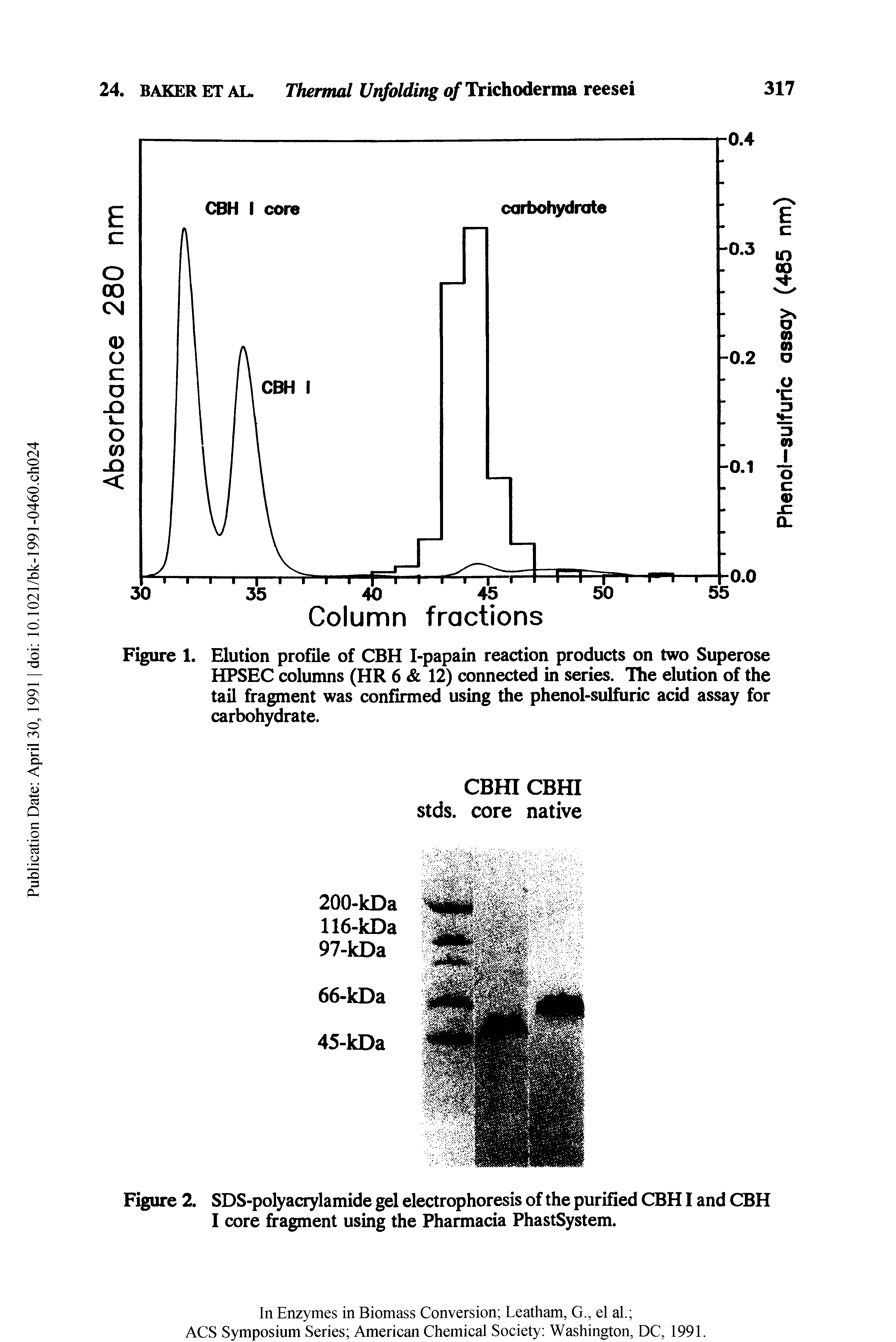 Figure 1. Elution profile of CBH I-papain reaction products on two Superose HPSEC columns (HR 6 12) connected in series. Ilte elution of the tail fragment was confirmed using the phenol-sulfiiric acid assay for carbohydrate.