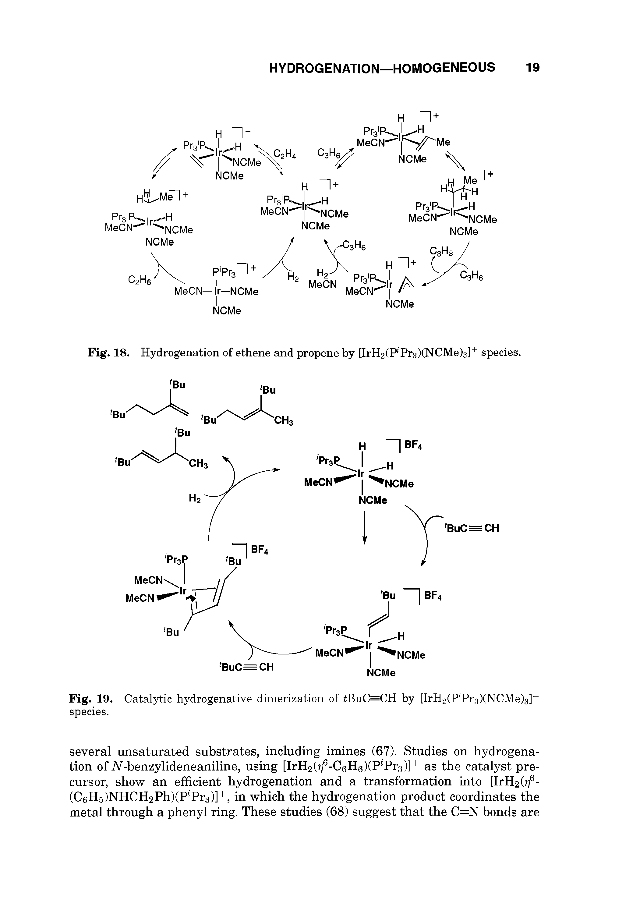 Fig. 19. Catalytic hydrogenative dimerization of tBuC=CH by [IrH2(P Pr3)(NCMe)3] species.