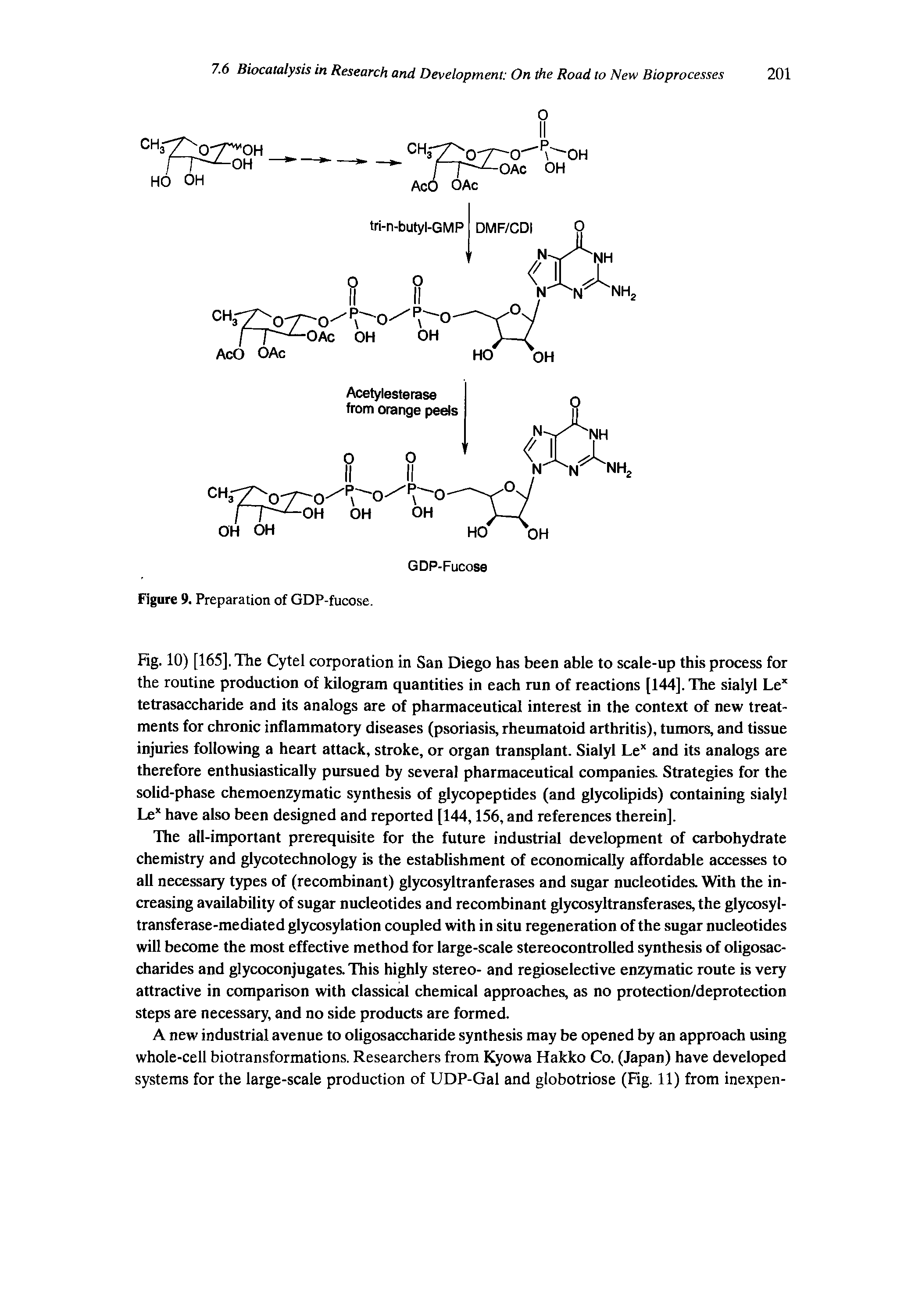 Fig. 10) [165], The Cytel corporation in San Diego has been able to scale-up this process for the routine production of kilogram quantities in each run of reactions [144]. The sialyl Le tetrasaccharide and its analogs are of pharmaceutical interest in the context of new treatments for chronic inflammatory diseases (psoriasis, rheumatoid arthritis), tumors, and tissue injuries following a heart attack, stroke, or organ transplant. Sialyl Lex and its analogs are therefore enthusiastically pursued by several pharmaceutical companies. Strategies for the solid-phase chemoenzymatic synthesis of glycopeptides (and glycolipids) containing sialyl Lex have also been designed and reported [144,156, and references therein].