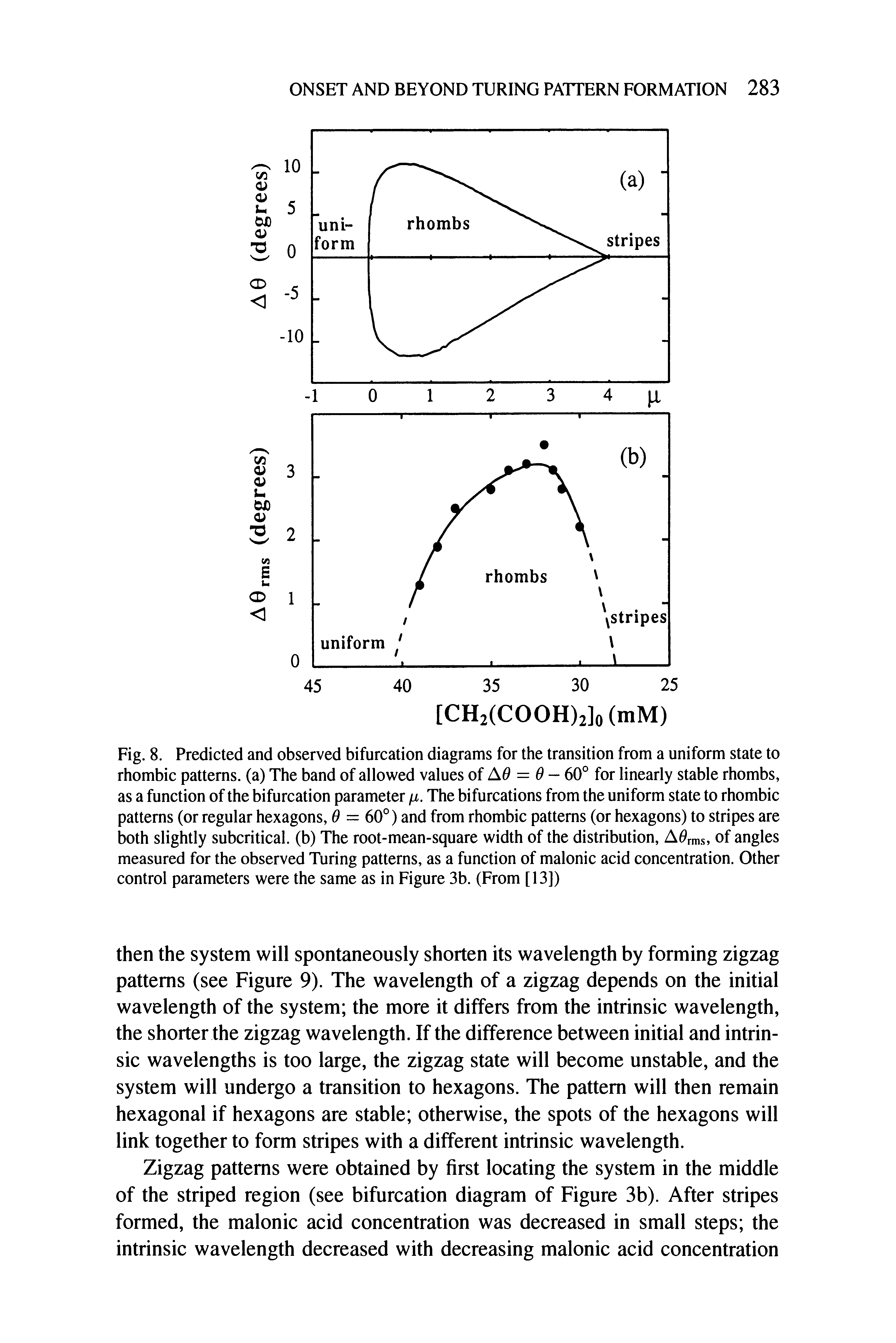 Fig. 8. Predicted and observed bifurcation diagrams for the transition from a uniform state to rhombic patterns, (a) The band of allowed values ofA6 = 0- 60° for linearly stable rhombs, as a function of the bifurcation parameter n. The bifurcations from the uniform state to rhombic patterns (or regular hexagons, 0 — 60°) and from rhombic patterns (or hexagons) to stripes are both slightly subcritical. (b) The root-mean-square width of the distribution, A rms, of angles measured for the observed Turing patterns, as a function of malonic acid concentration. Other control parameters were the same as in Figure 3b. (From [13])...