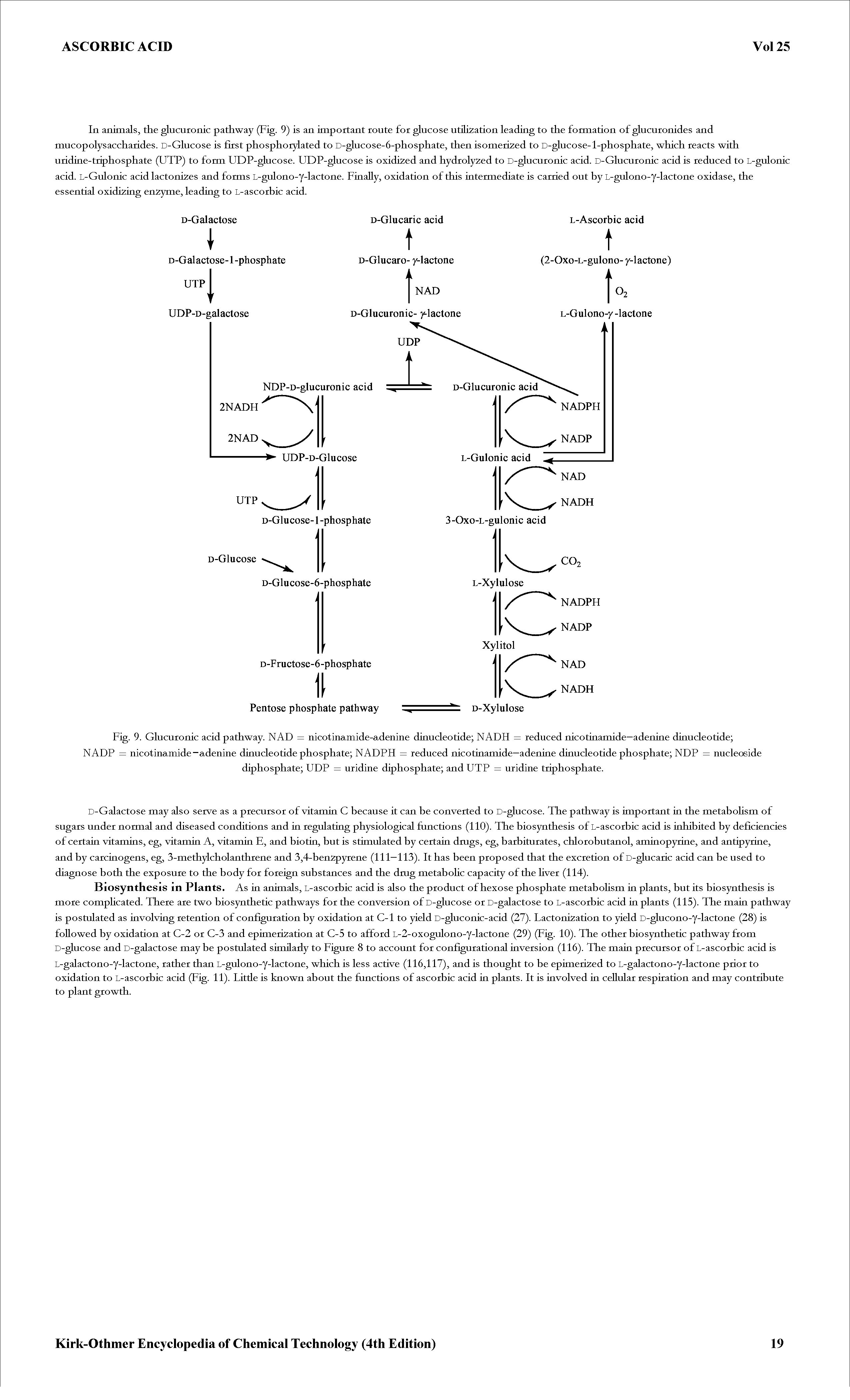 Fig. 9. Glucuionic acid pathway. NAD = nicotinamide-adenine dinucleotide NADH = reduced nicotinamide—adenine dinucleotide ...