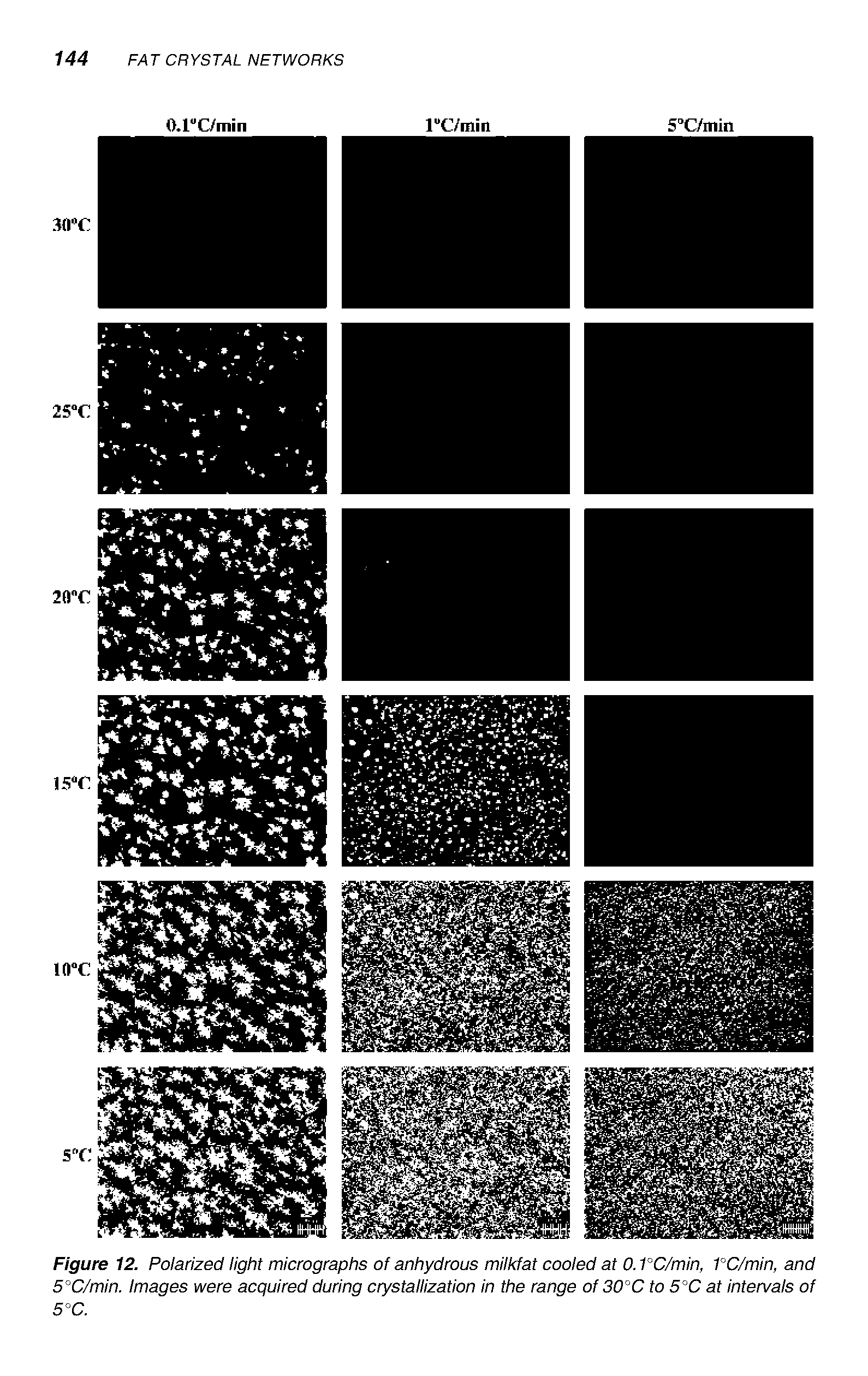 Figure 12. Polarized light micrographs of anhydrous milkfat cooled at 0. PC/min, PC/min, and 5°C/min. Images were acquired during crystallization in the range of 30°C to 5°C at intervals of 5°C.