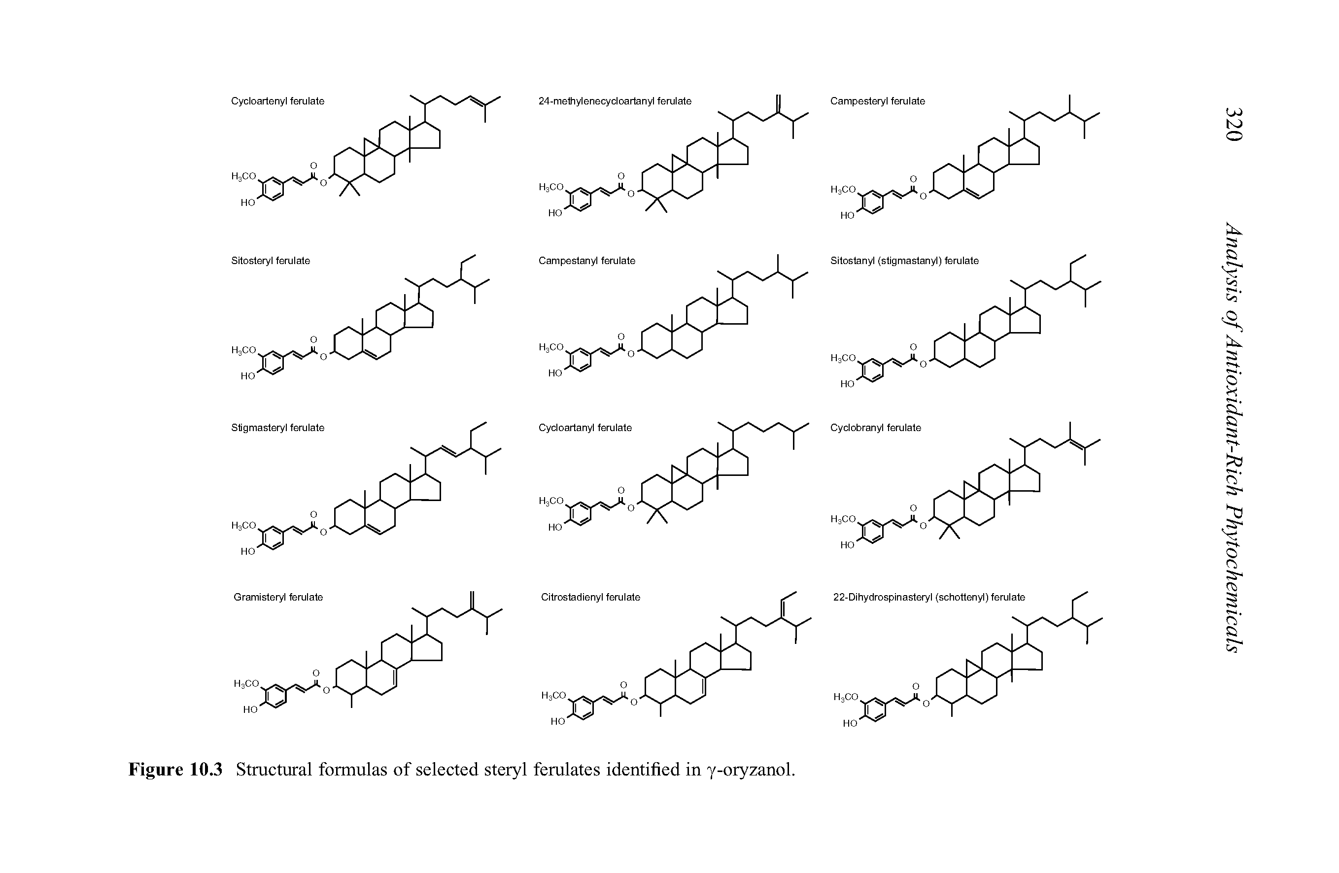 Figure 10.3 Structural formulas of selected steryl ferulates identified in y-oryzanol.