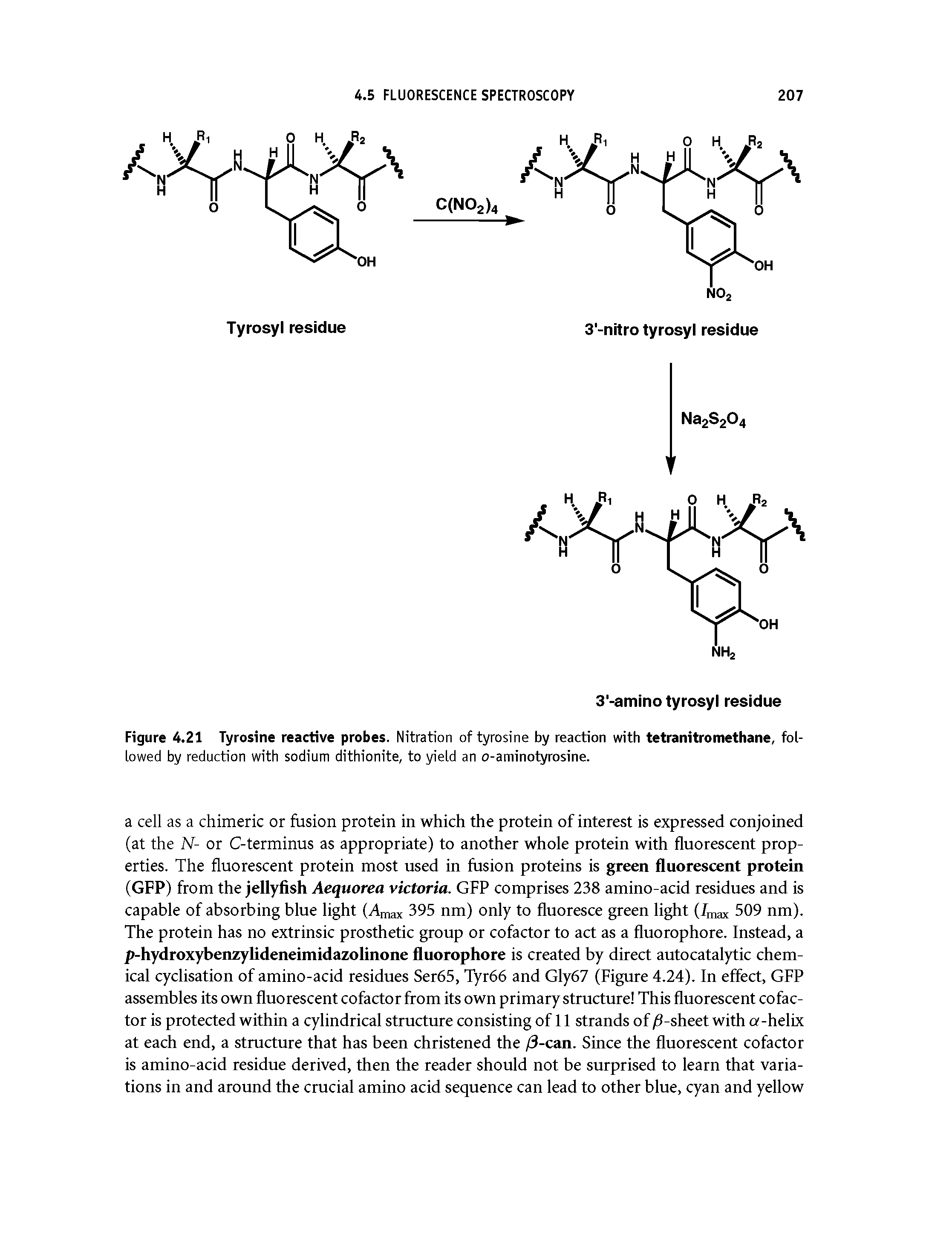 Figure 4.21 Tyrosine reactive probes. Nitration of tyrosine by reaction with tetranitromethane, followed by reduction with sodium dithionite, to yield an o-aminotyrosine.
