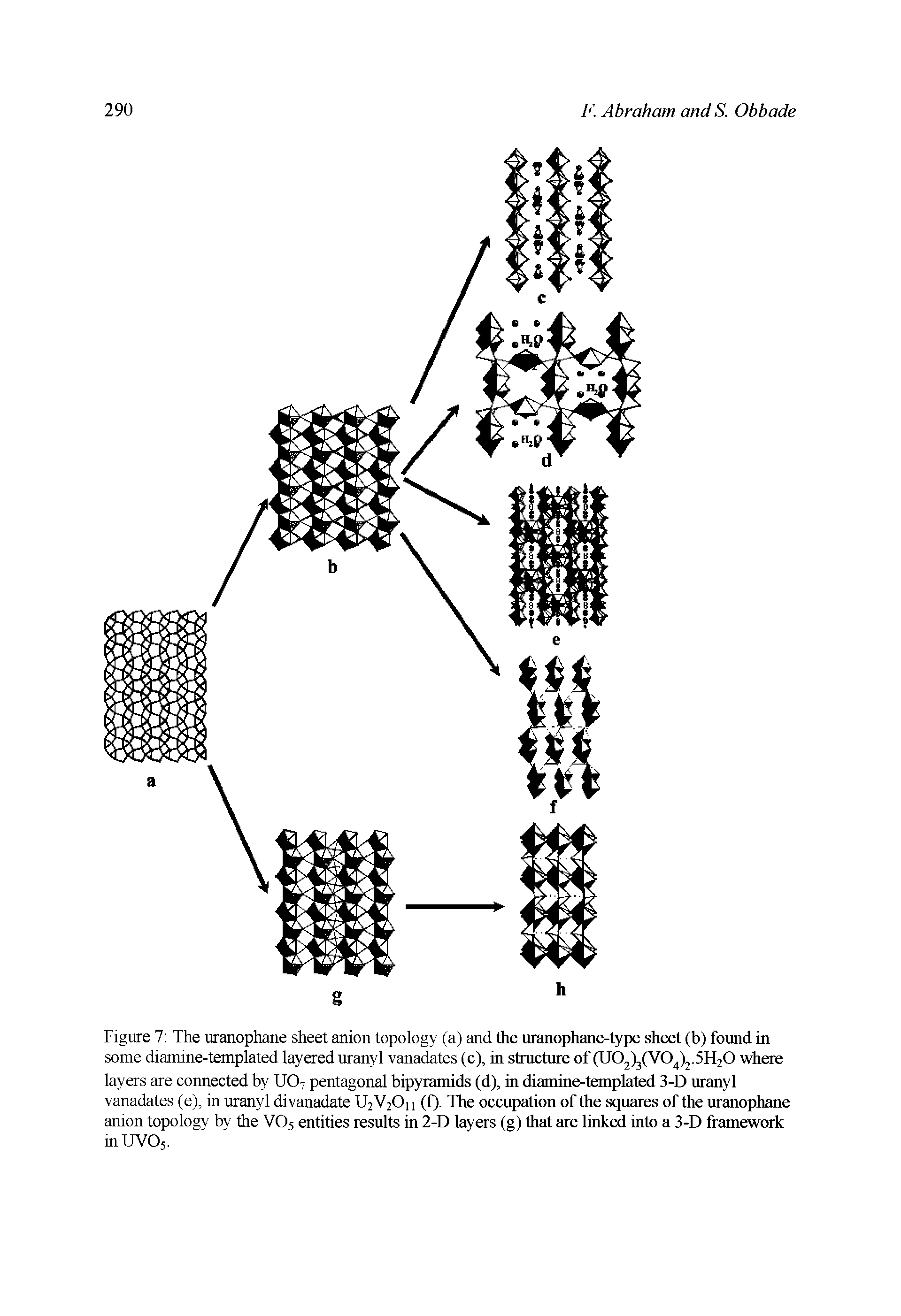 Figure 7 The uranophane sheet anion topology (a) and the uranophane-type sheet (b) found in some diamine-templated layered uranyl vanadates (c), in structure of (U02)3(V0 )2.5H20 where layers are connected by UO7 pentagonal bipyramids (d), in diamine-templated 3-D uranyl vanadates (e), in uranyl divanadate U2V2O11 (f). The occupation of the sqnares of the uranophane anion topology by the VO5 entities results in 2-D layers (g) that are linked into a 3-D framework inUVOj.