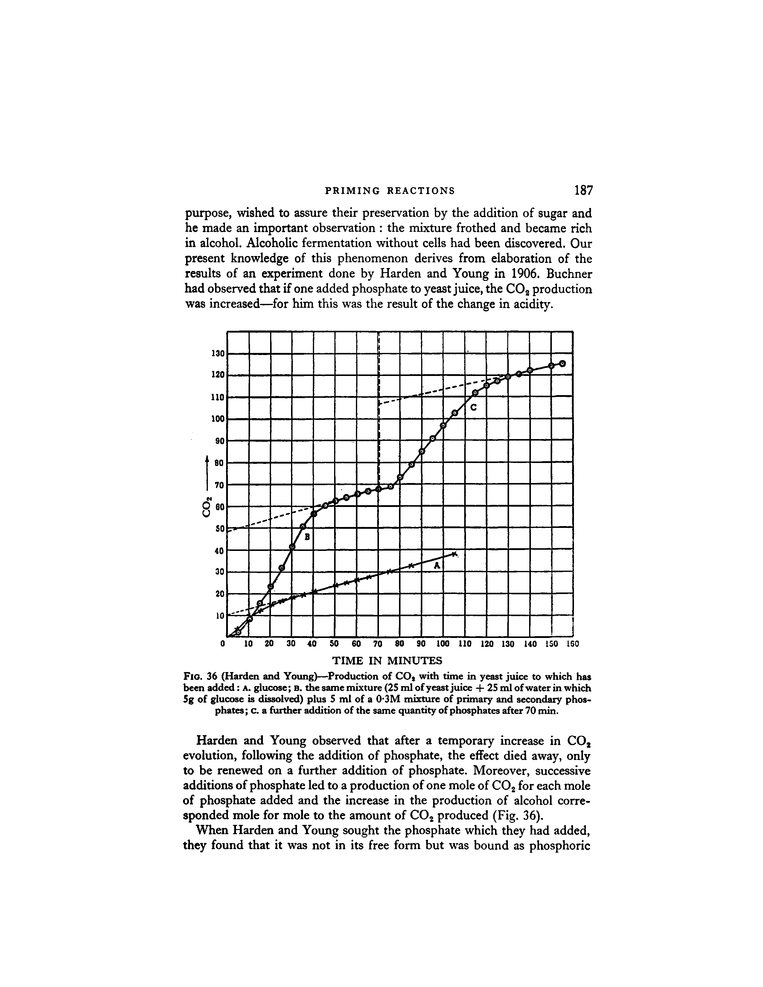 Fig. 36 (Harden and Young)—Production of COt widi time in yeast juice to which has been added a. glucose b. the same mixture (25 ml of yeast juice + 25mlofwaterinwhich 5g of glucose is dissolv ) plus 5 ml of a 0 3M mixture of primary and secondary phosphates c. a further addition of the same quantity of phosphates after 70 min.