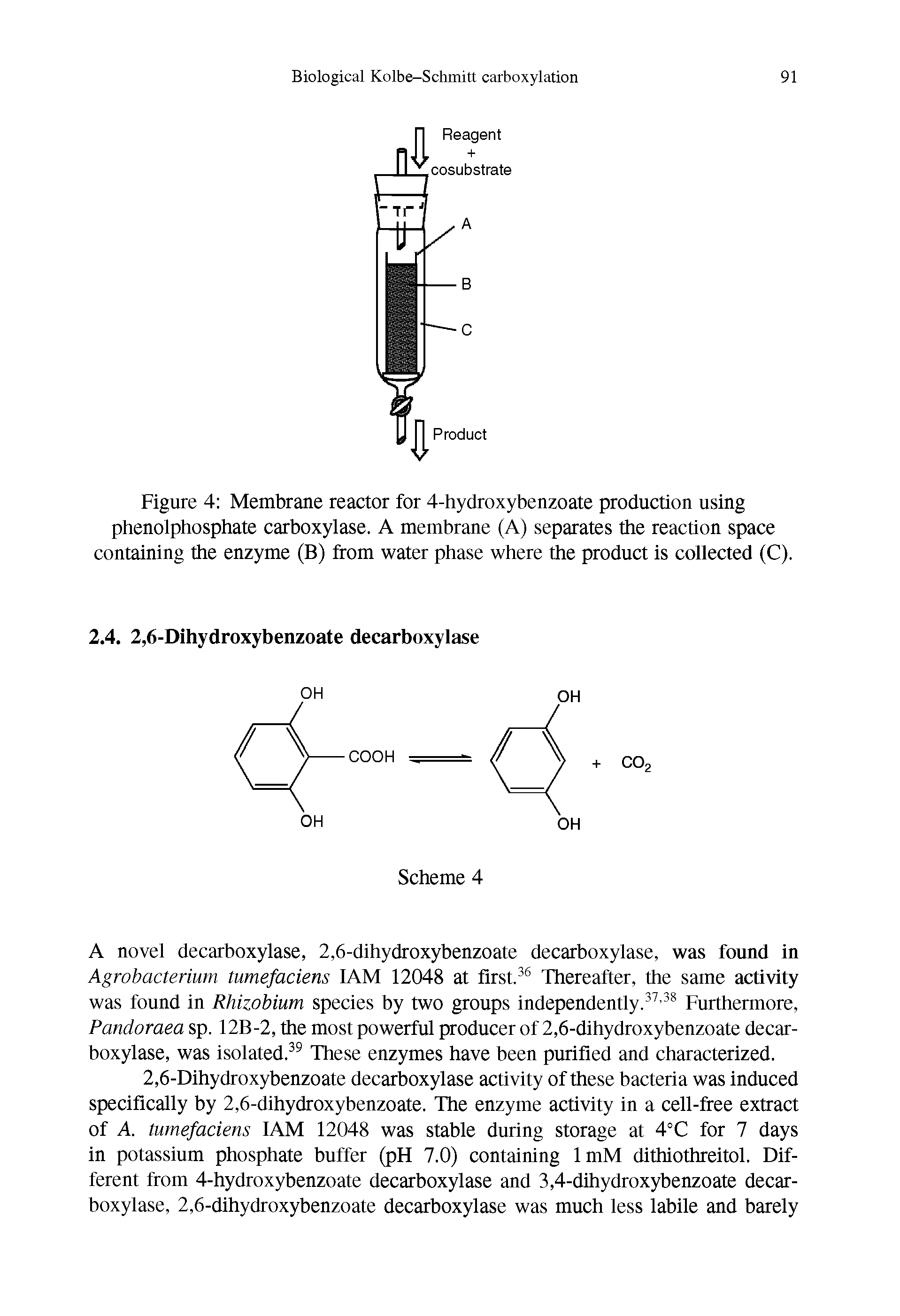 Figure 4 Membrane reactor for 4-hydroxybenzoate production using phenolphosphate carboxylase. A membrane (A) separates the reaction space containing the enzyme (B) from water phase where the product is collected (C).