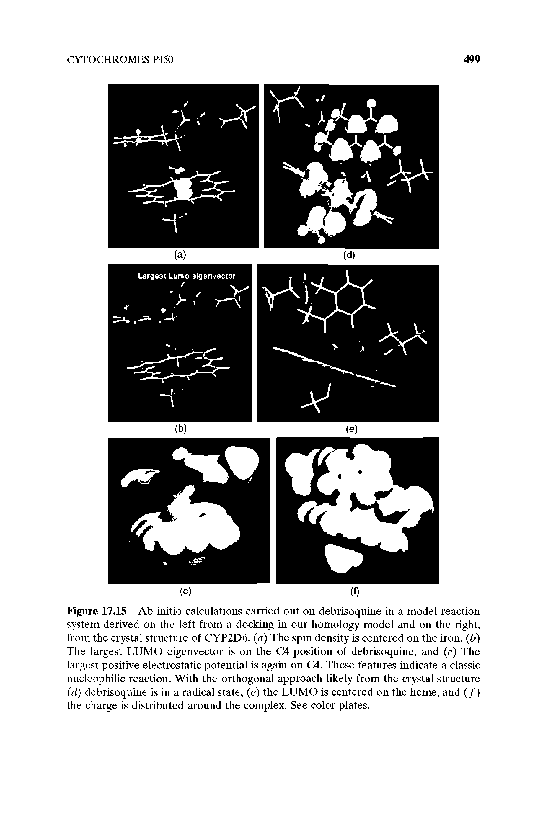 Figure 17.15 Ab initio calculations carried out on debrisoquine in a model reaction system derived on the left from a docking in our homology model and on the right, from the crystal structure of CYP2D6. (a) The spin density is centered on the iron. (b) The largest LUMO eigenvector is on the C4 position of debrisoquine, and (c) The largest positive electrostatic potential is again on C4. These features indicate a classic nucleophilic reaction. With the orthogonal approach likely from the crystal structure (d) debrisoquine is in a radical state, (e) the LUMO is centered on the heme, and (/) the charge is distributed around the complex. See color plates.