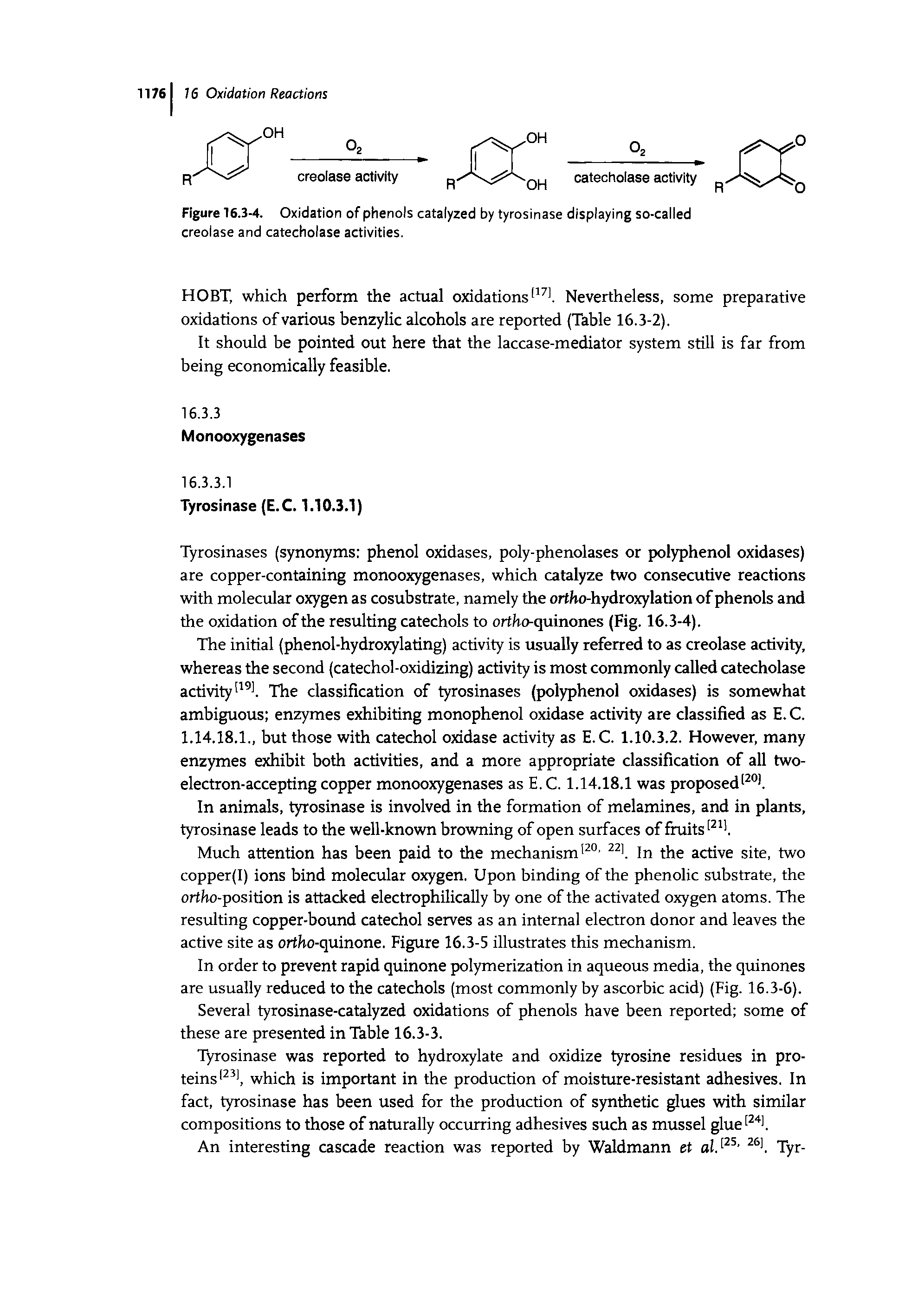 Figure 16.3-4. Oxidation of phenols catalyzed by tyrosinase displaying so-called creolase and catecholase activities.