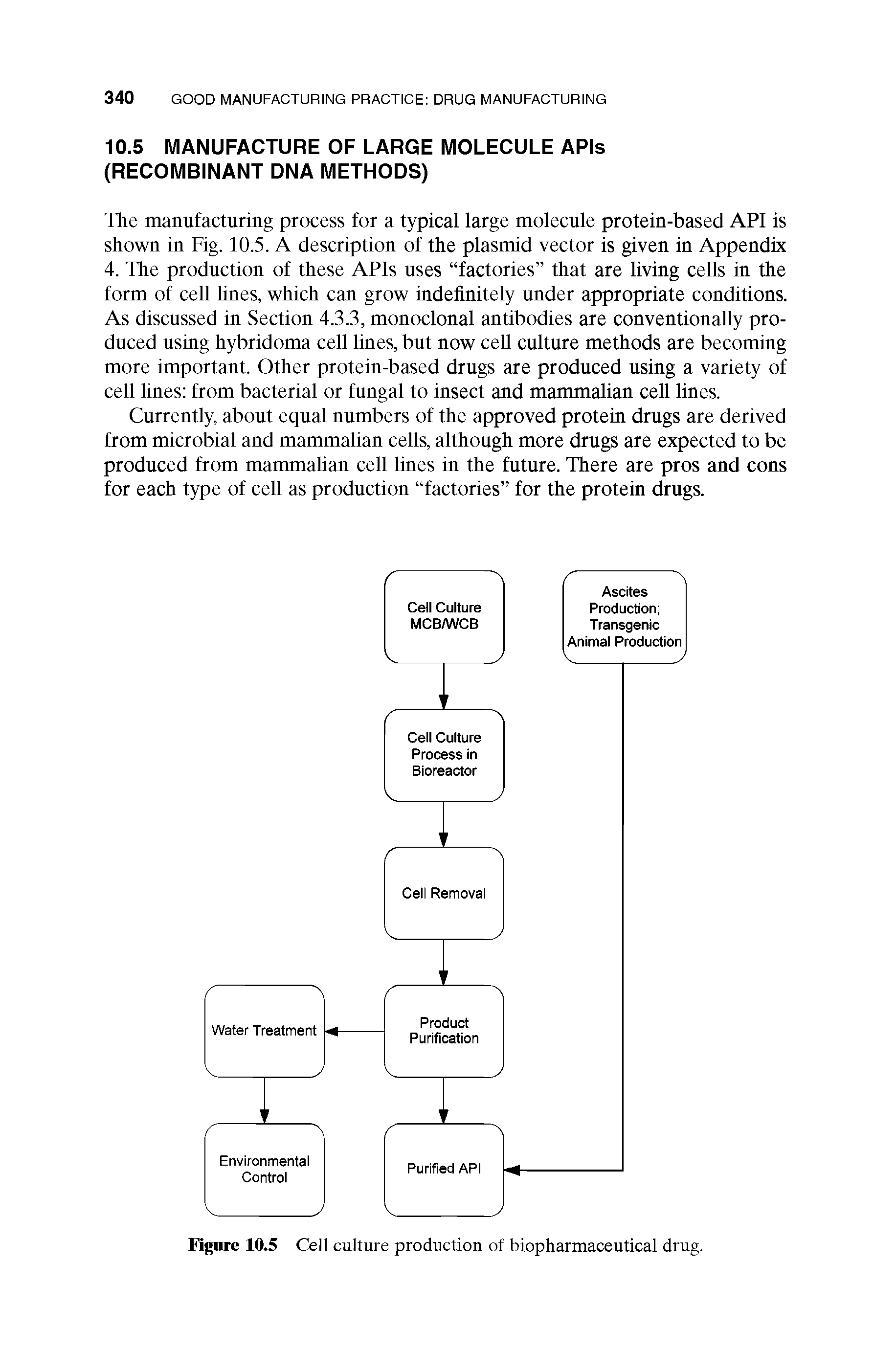 Figure 10.5 Cell culture production of biopharmaceutical drug.